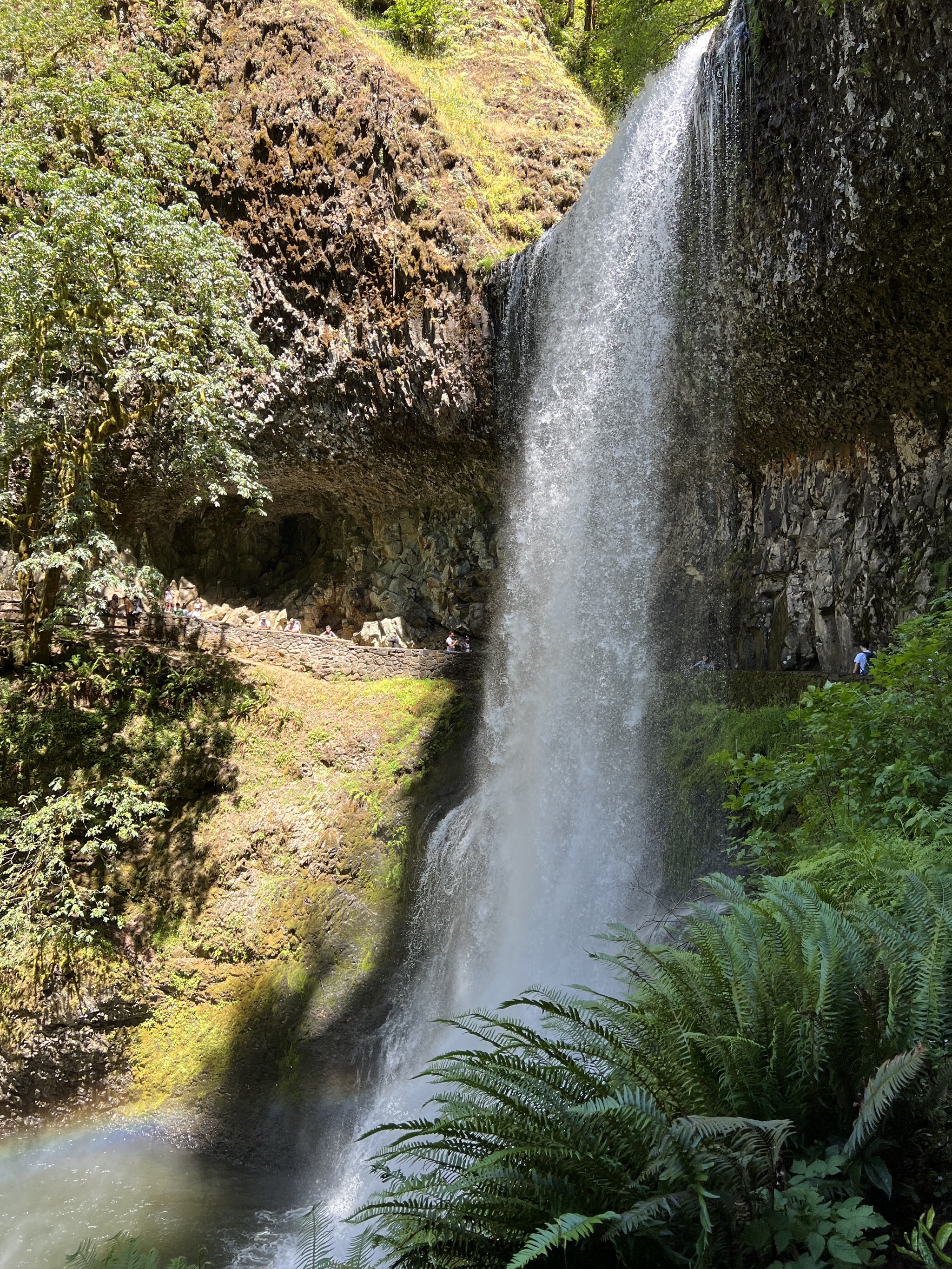 Lower South Falls