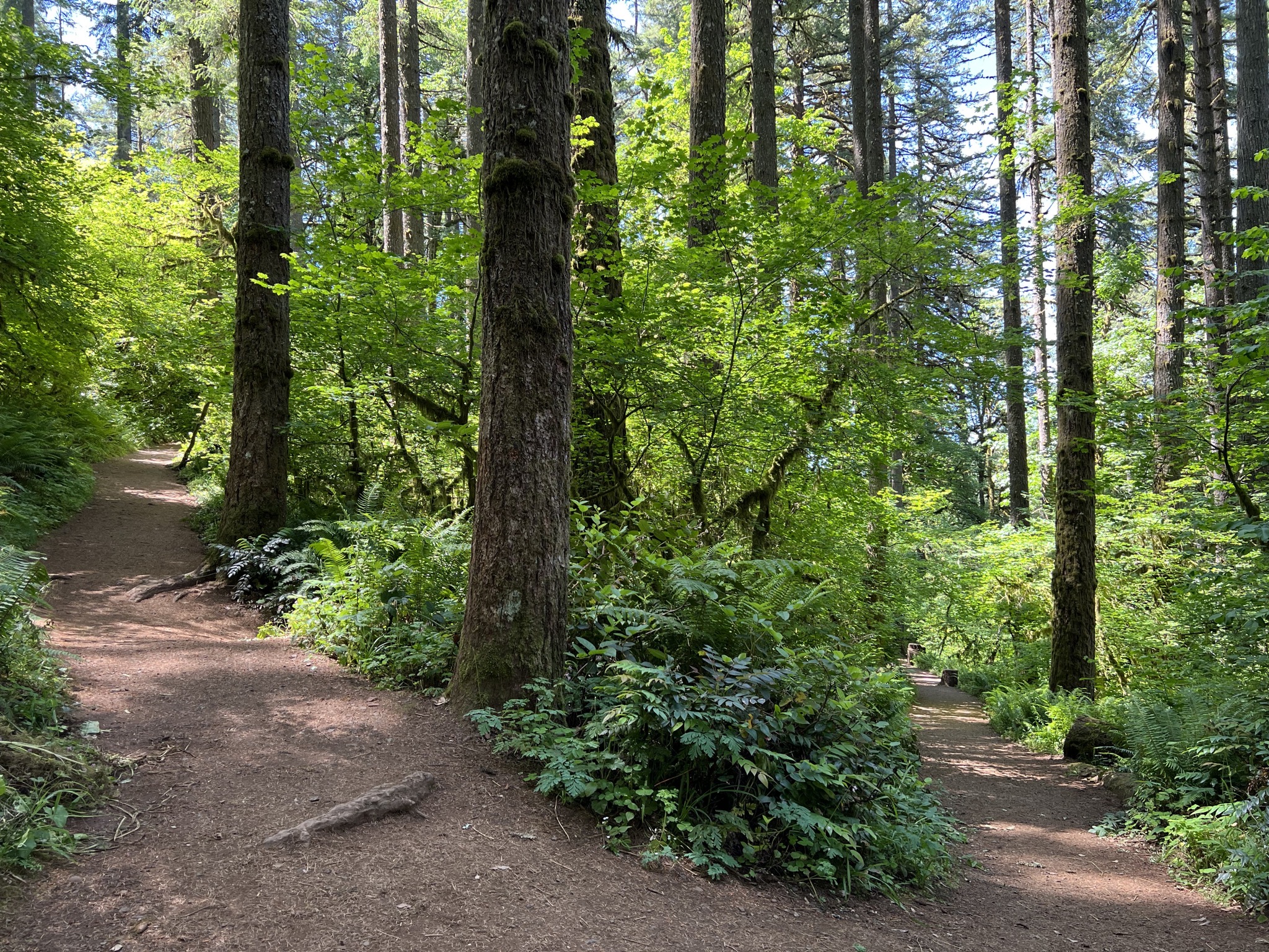 Steep switchback path