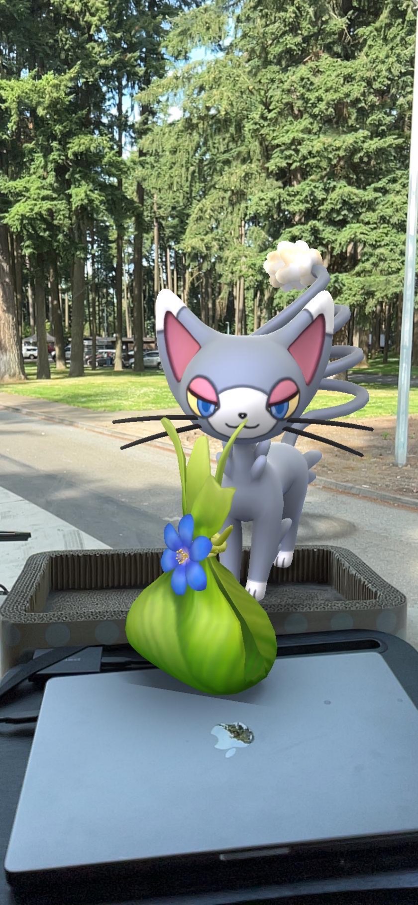Pokémon gift
