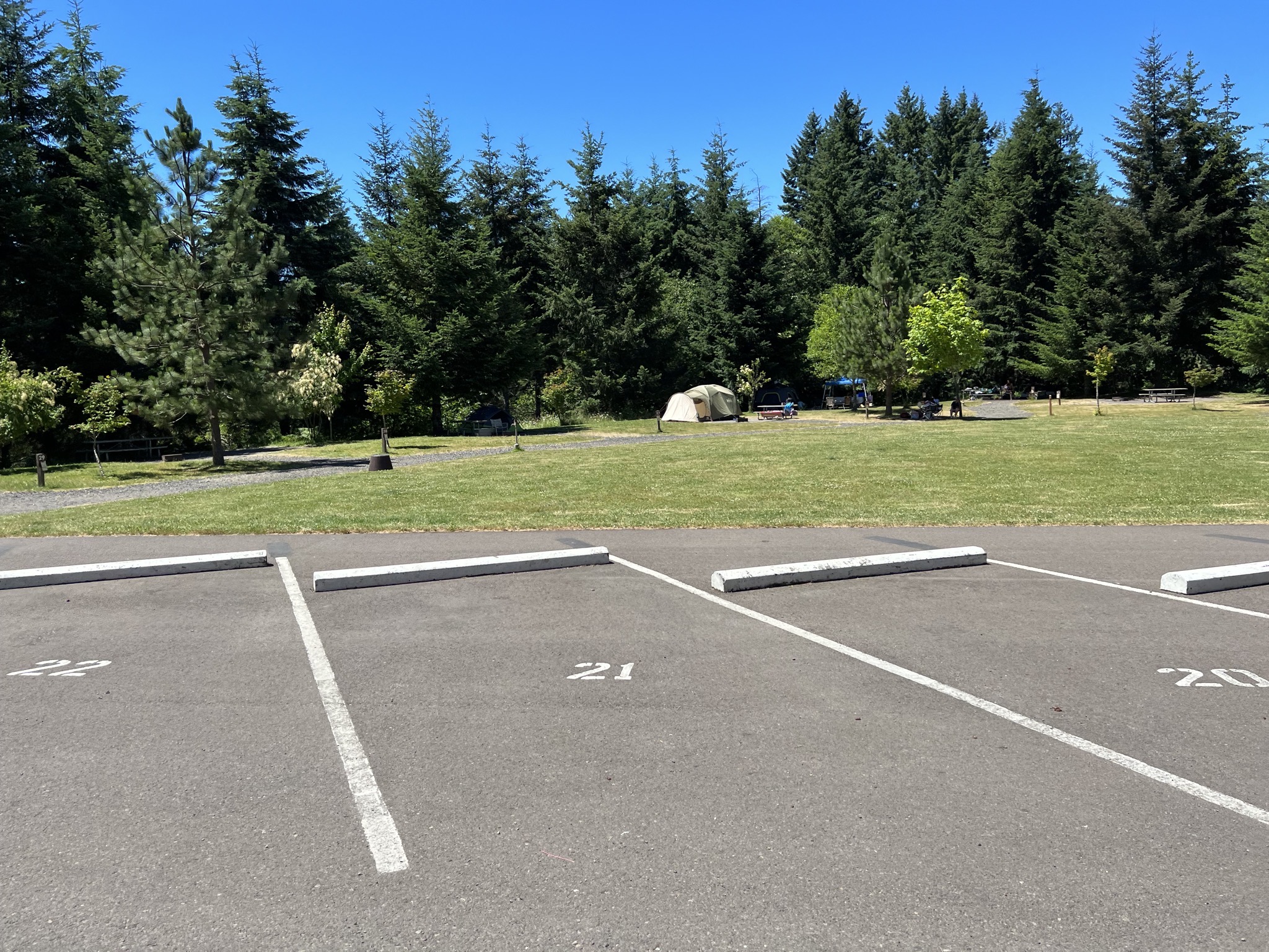 Tent sites