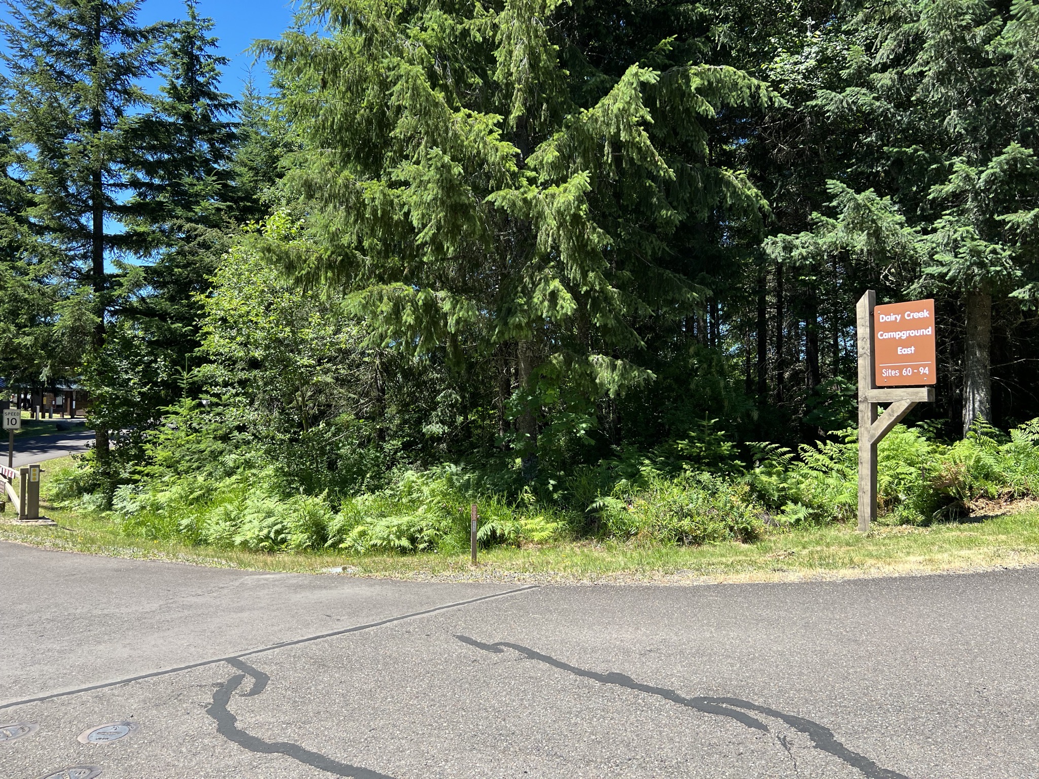 Dairy Creek Campground East