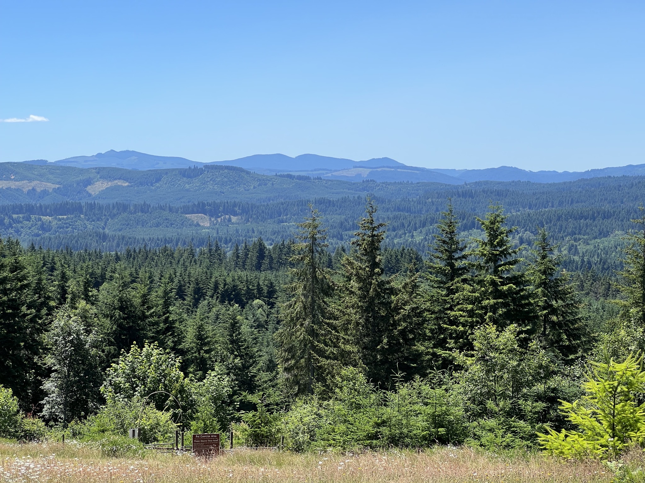 View