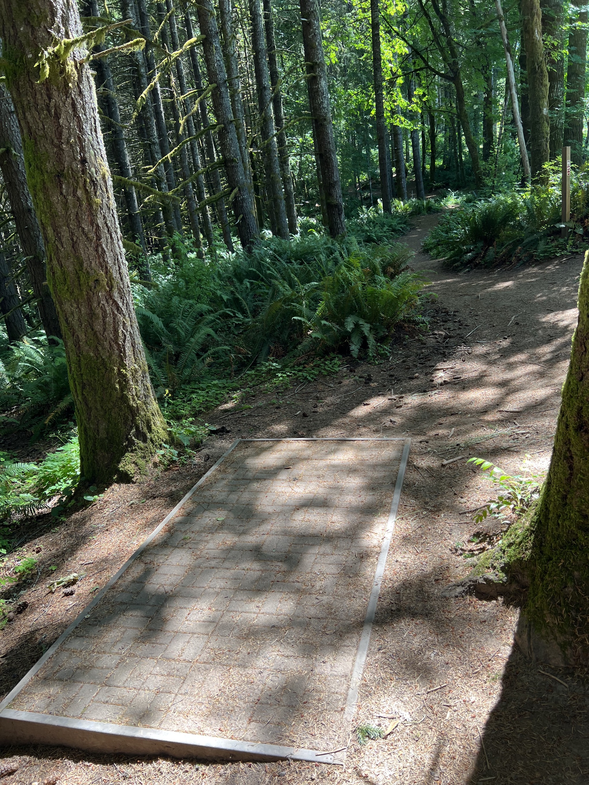 Disc golf course