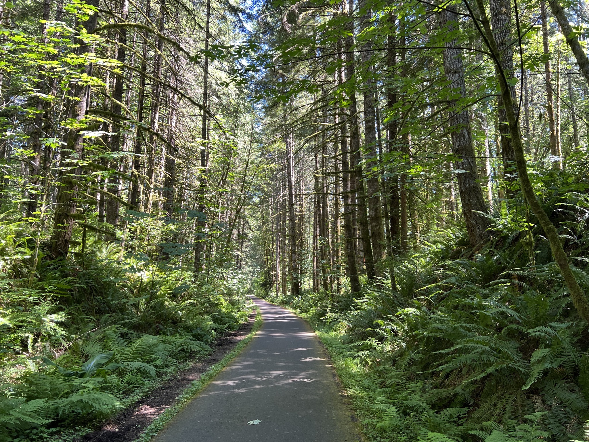 Banks-Vernonia State Trail