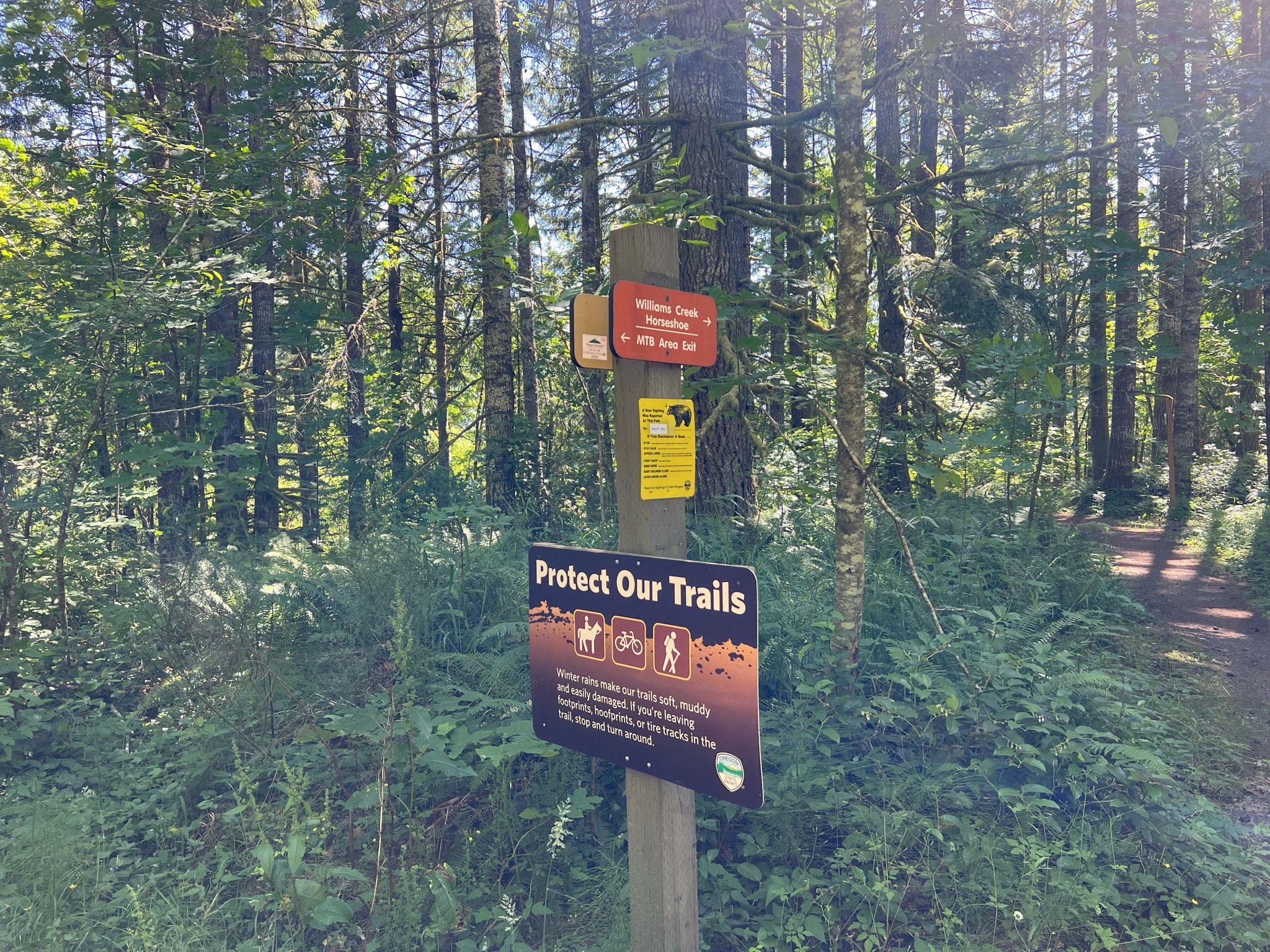Banks-Vernonia State Trail