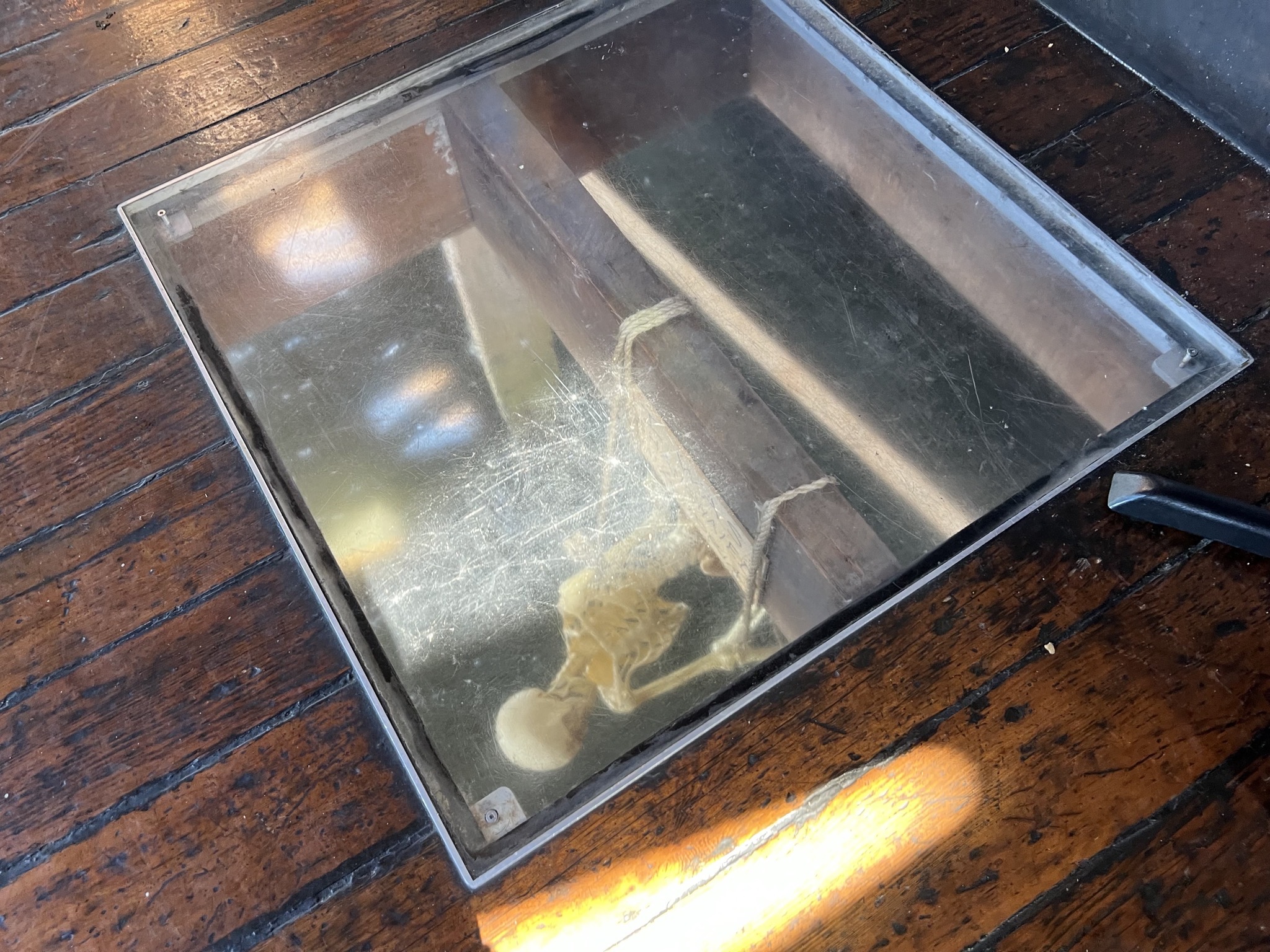 Window in floor