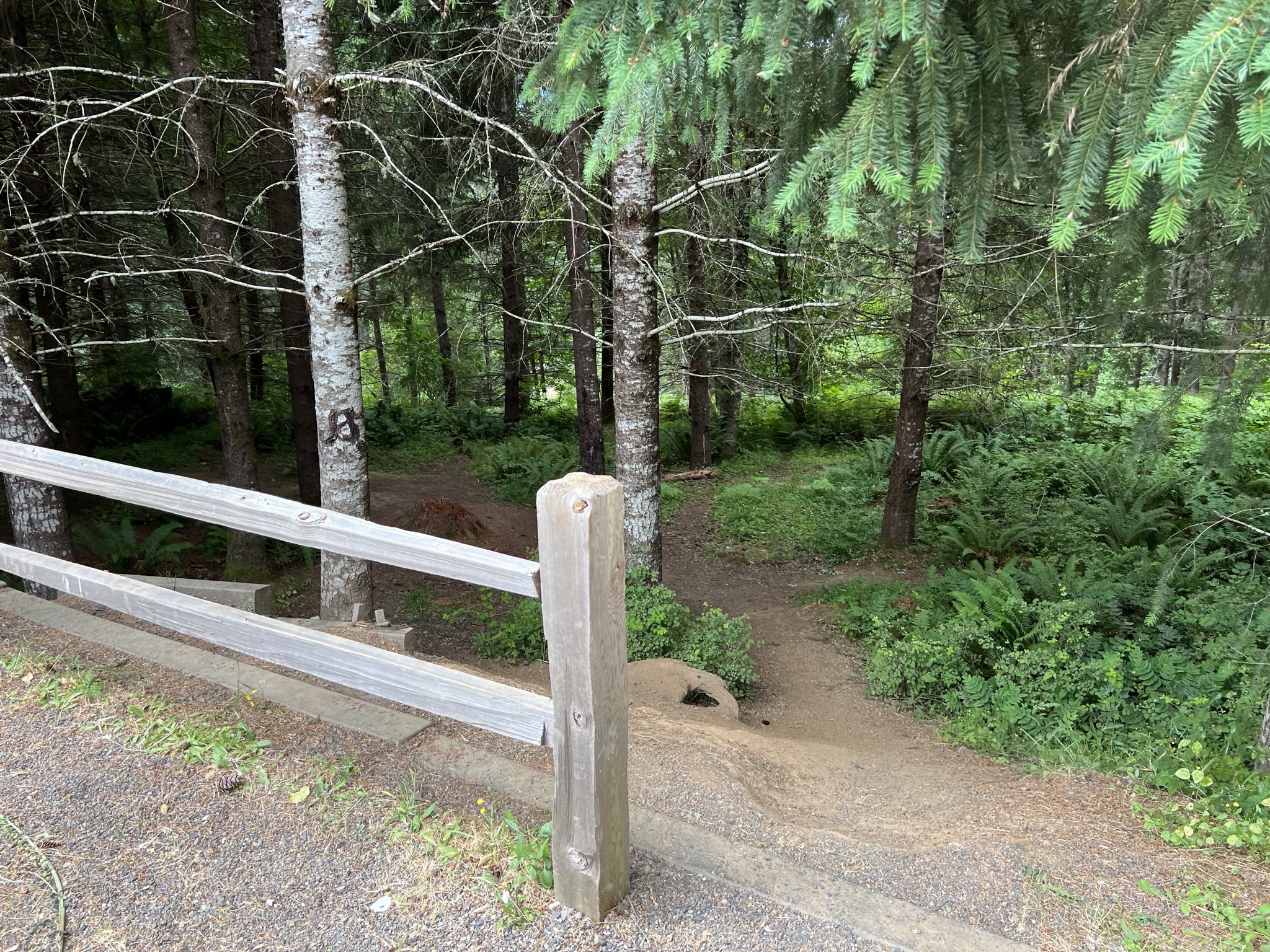 Behind site 45