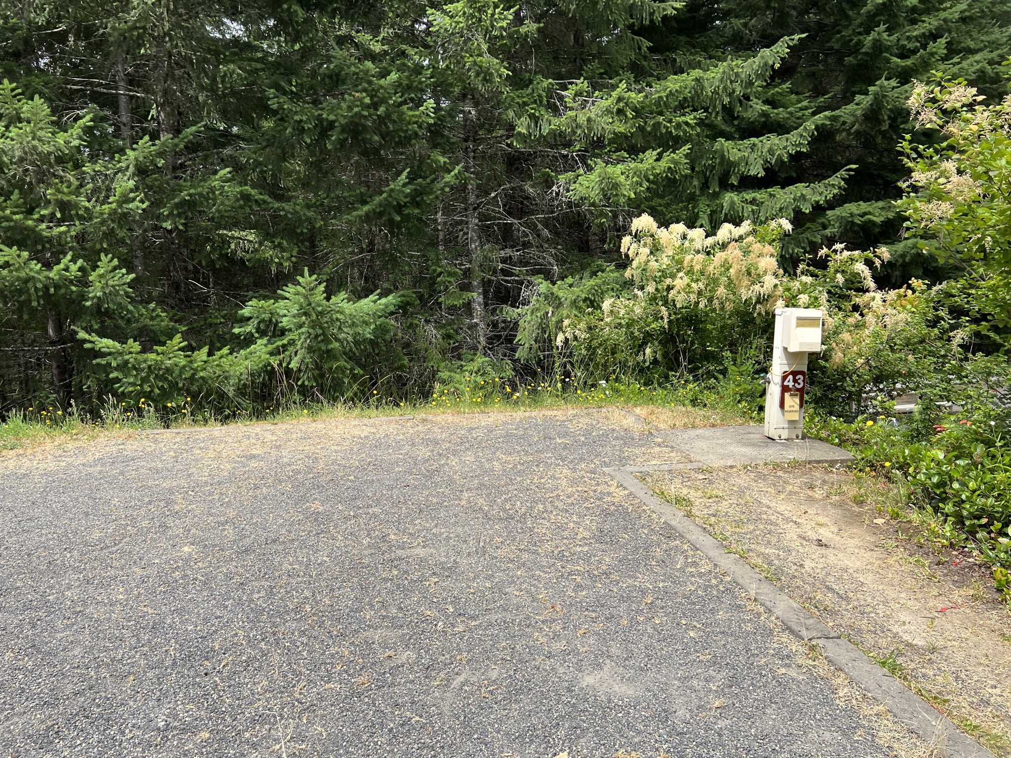 Site 43