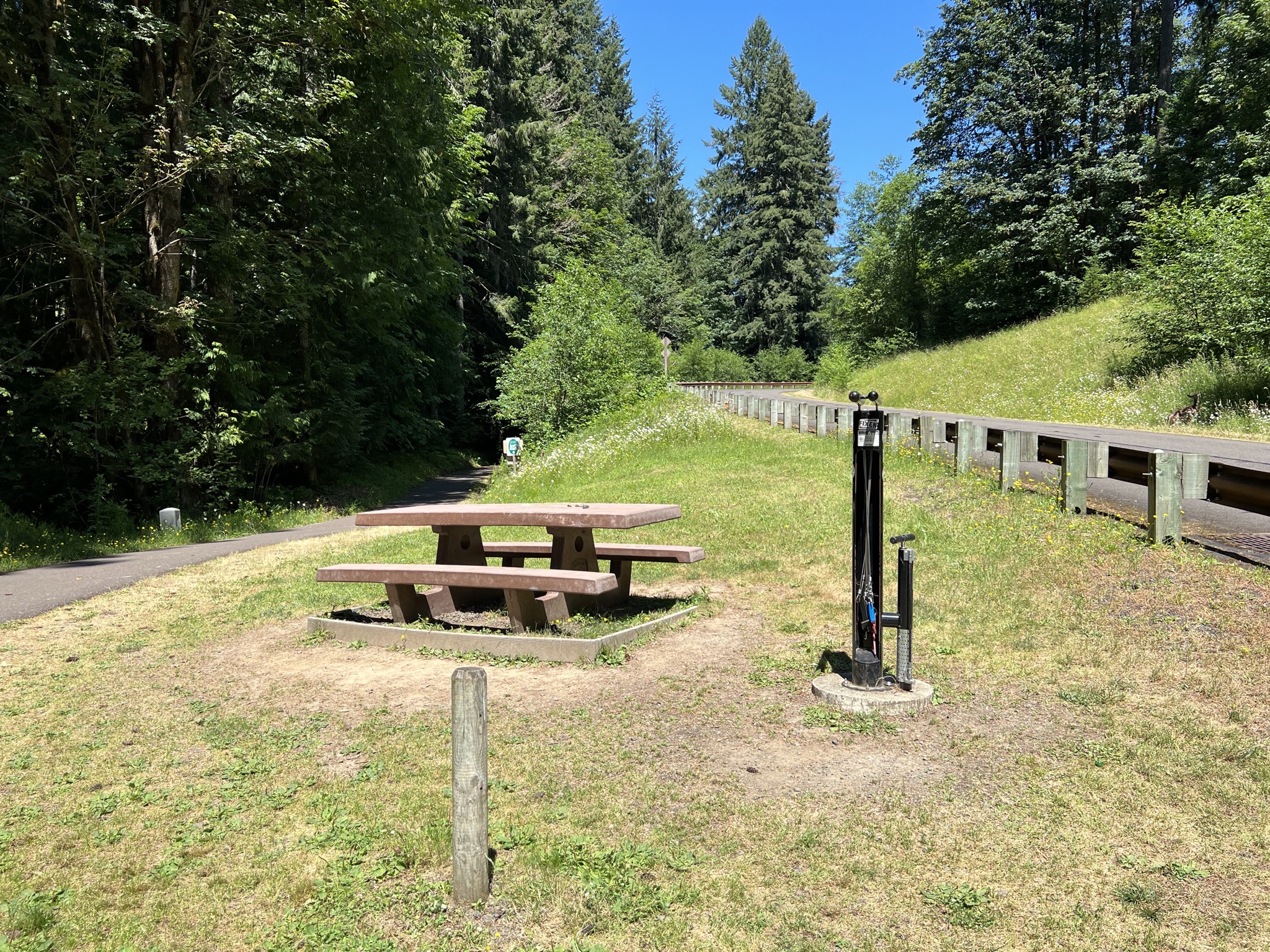 Banks-Vernonia State Trail