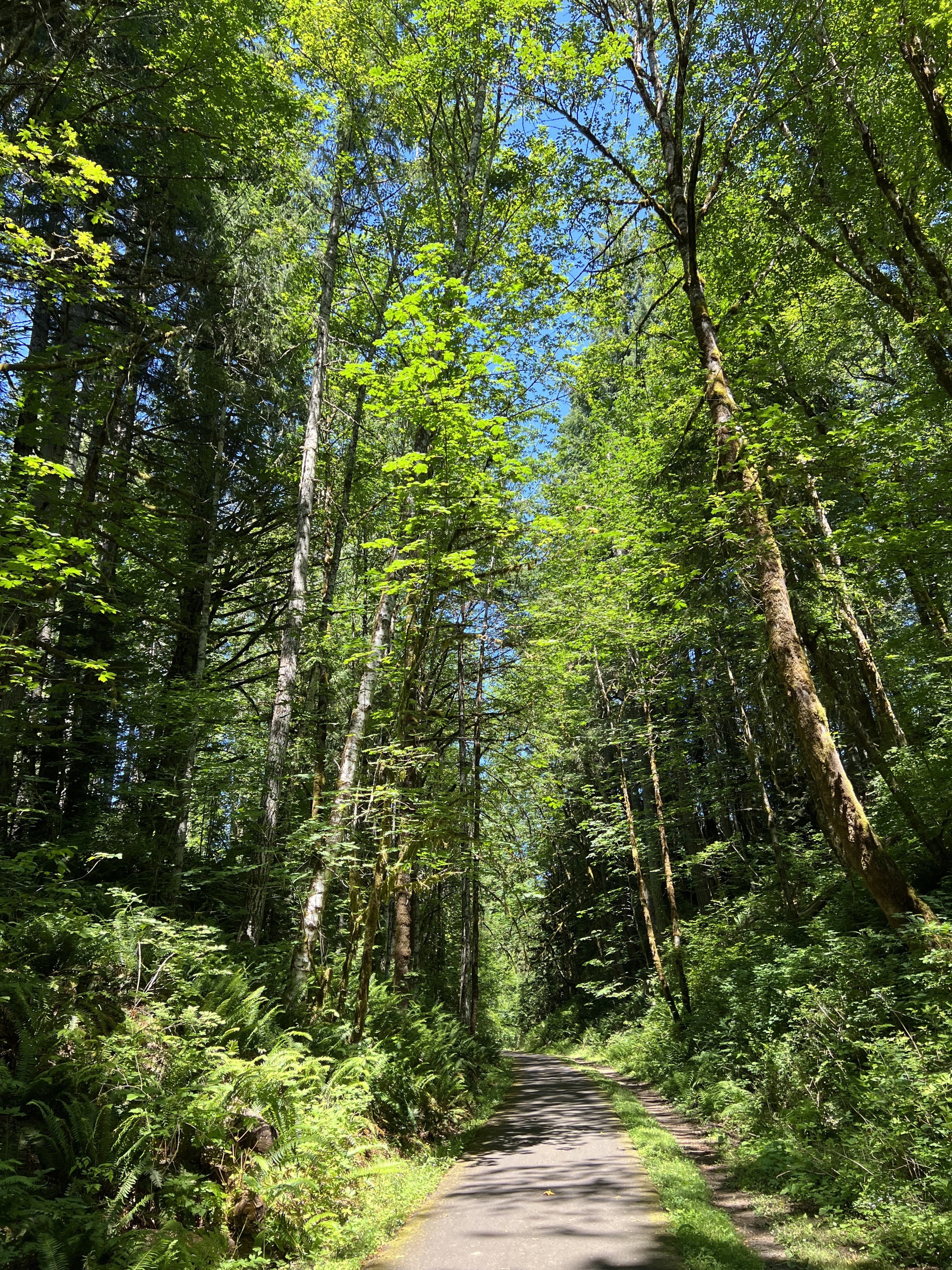 Banks-Vernonia State Trail