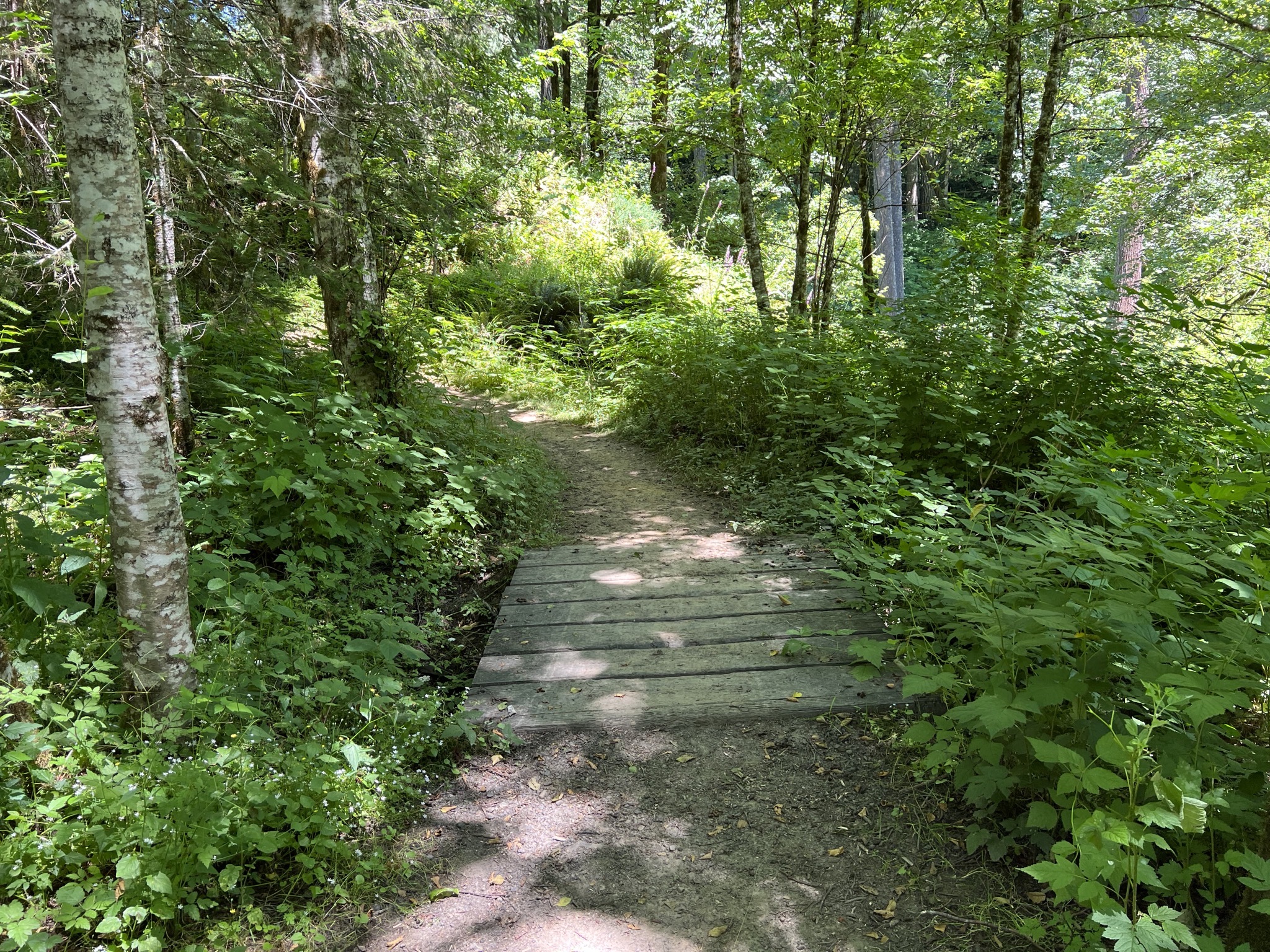 Banks-Vernonia State Trail