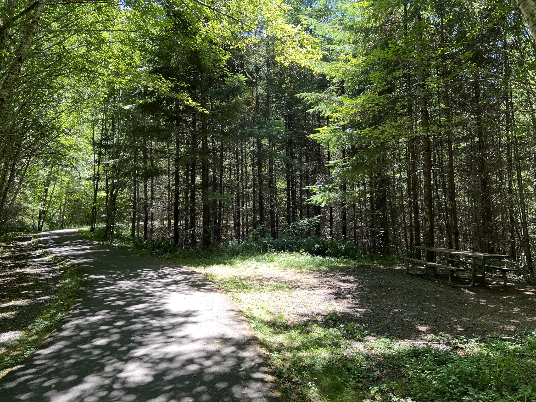 Banks-Vernonia State Trail