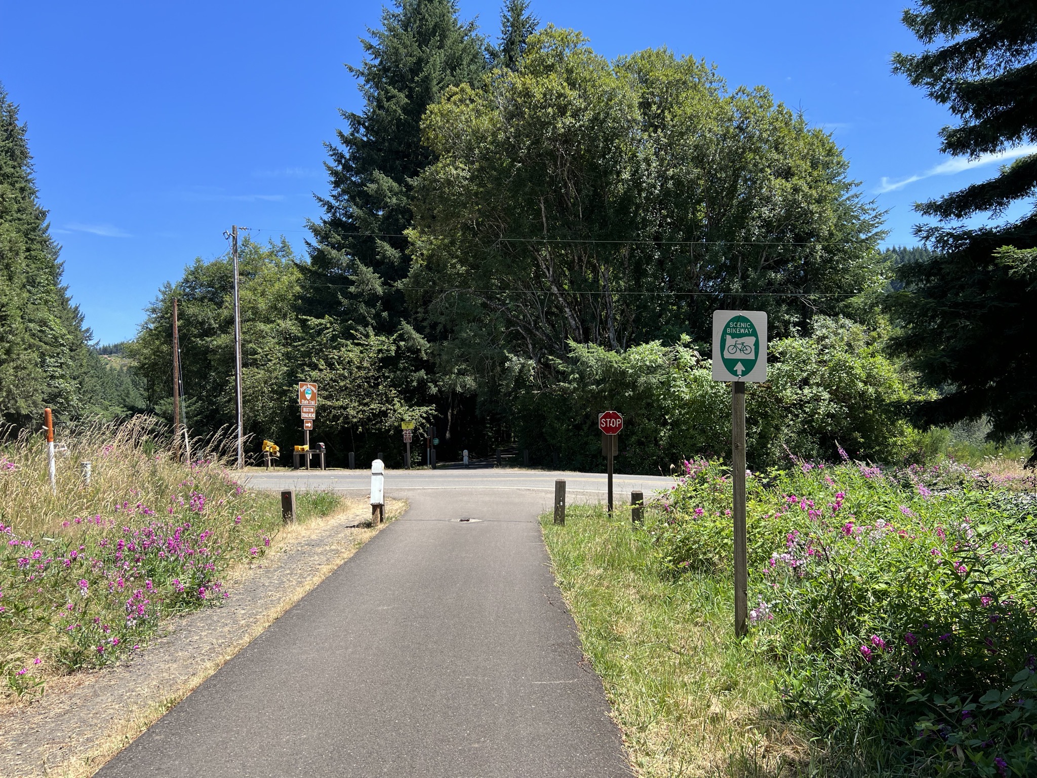 Banks-Vernonia State Trail