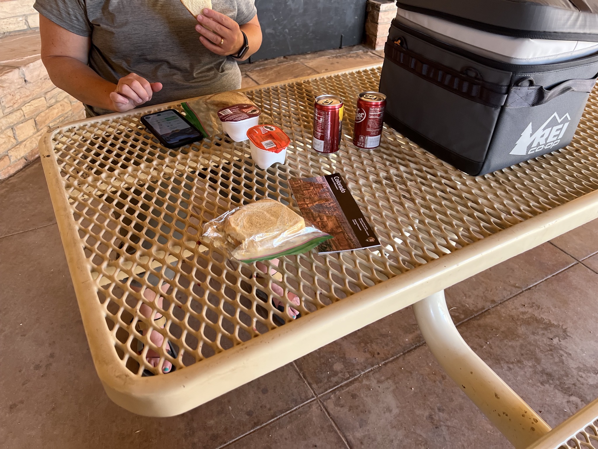 Picnic