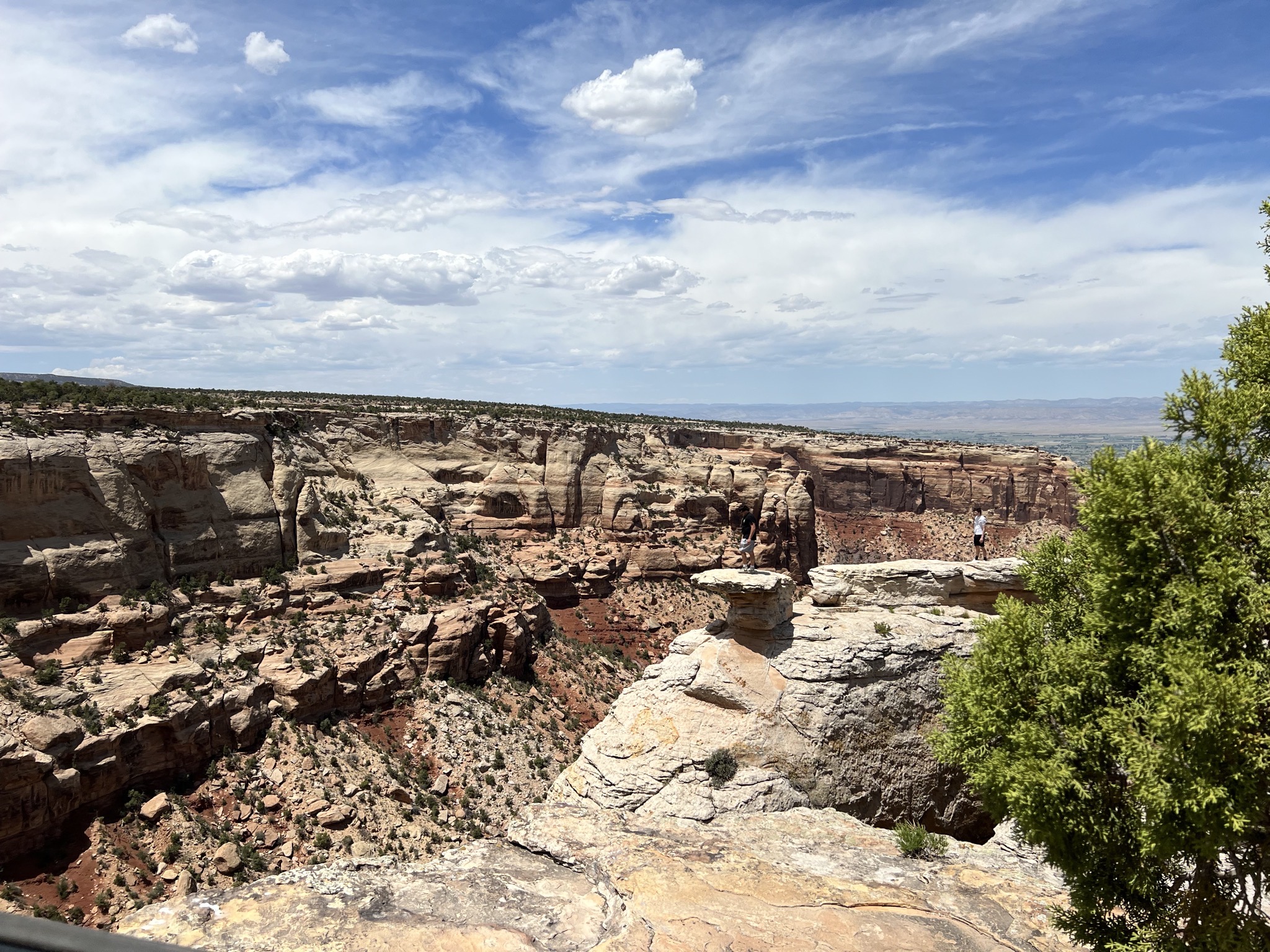 Rocks
