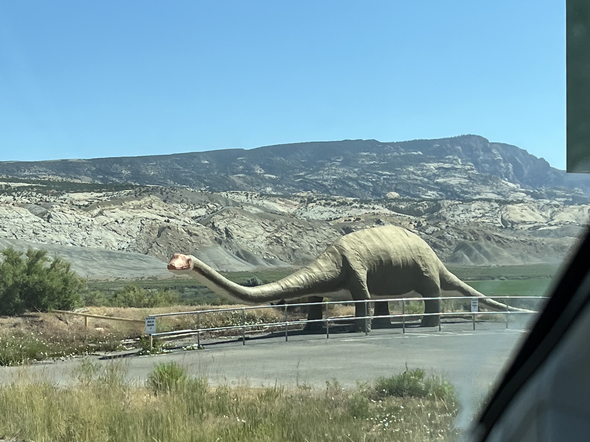 Dinosaur model