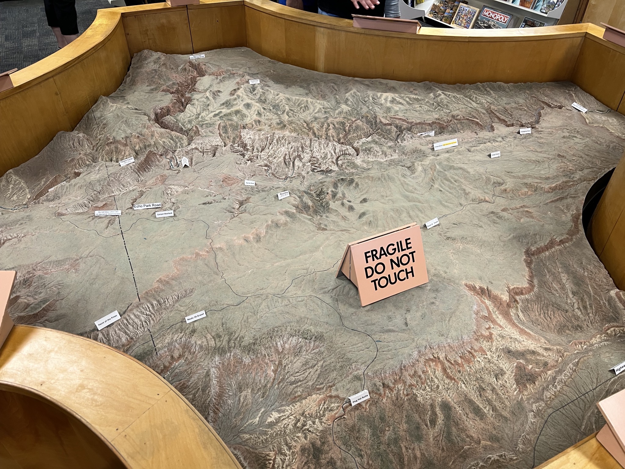 Relief map