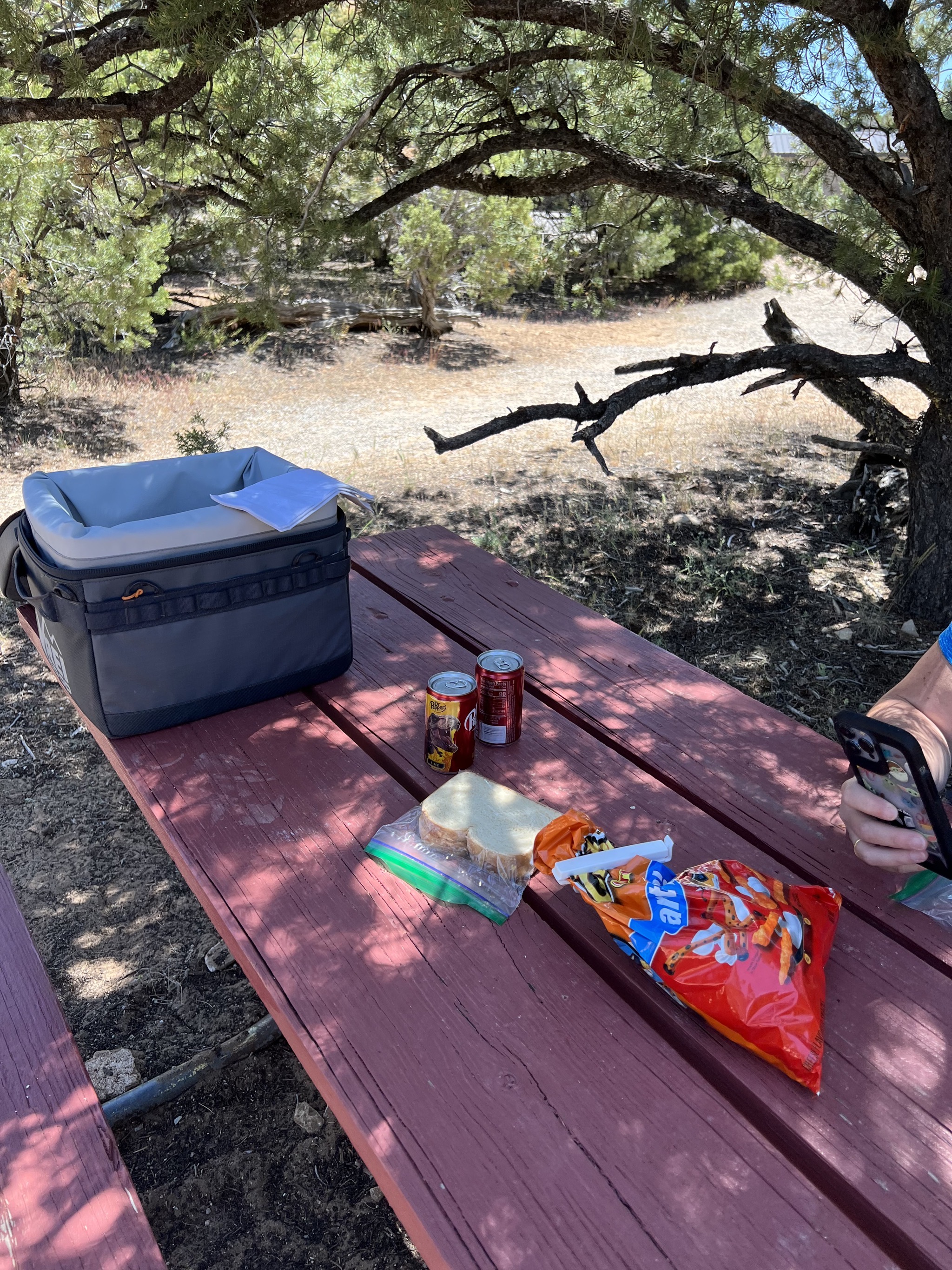Picnic