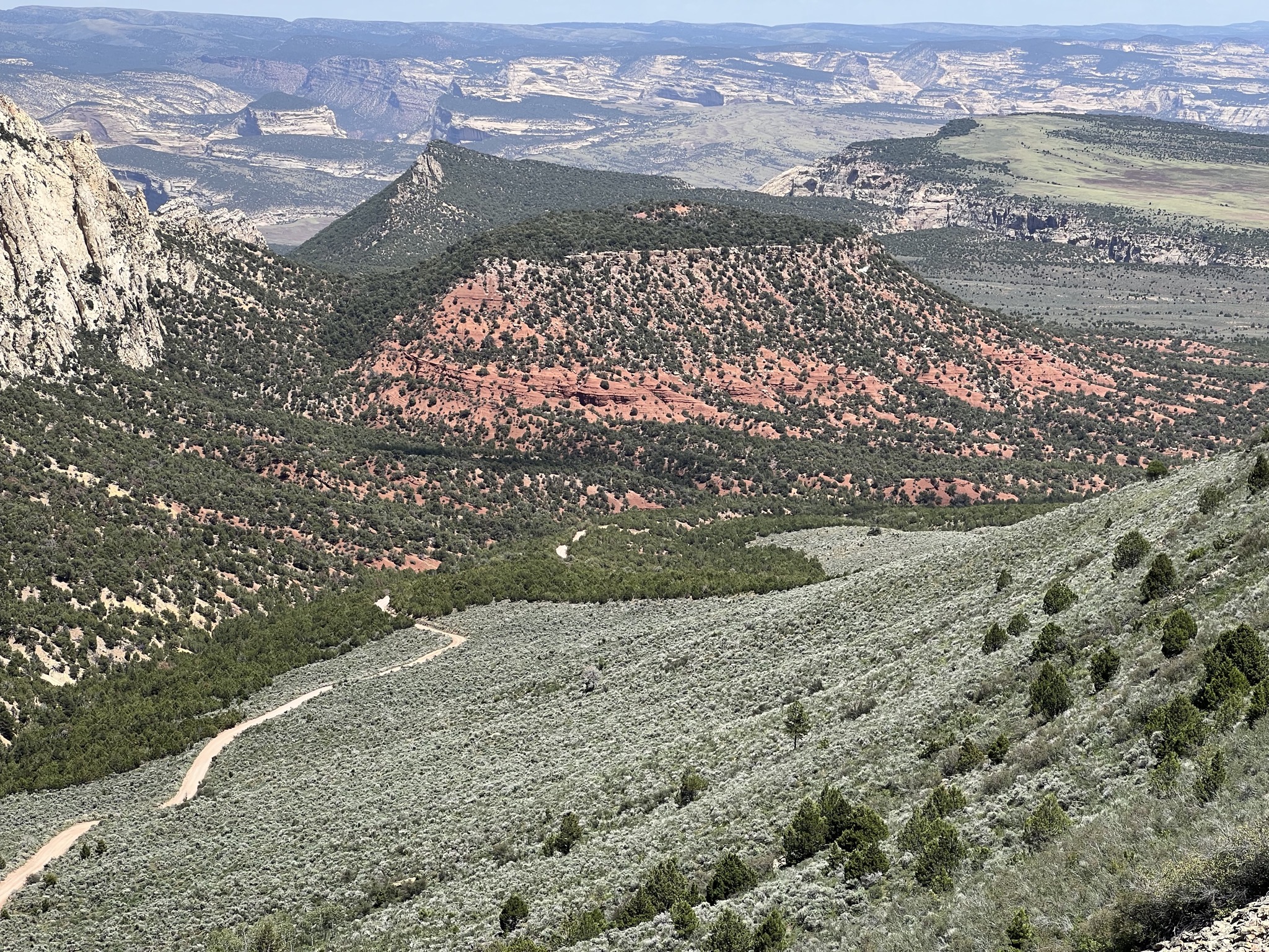 View