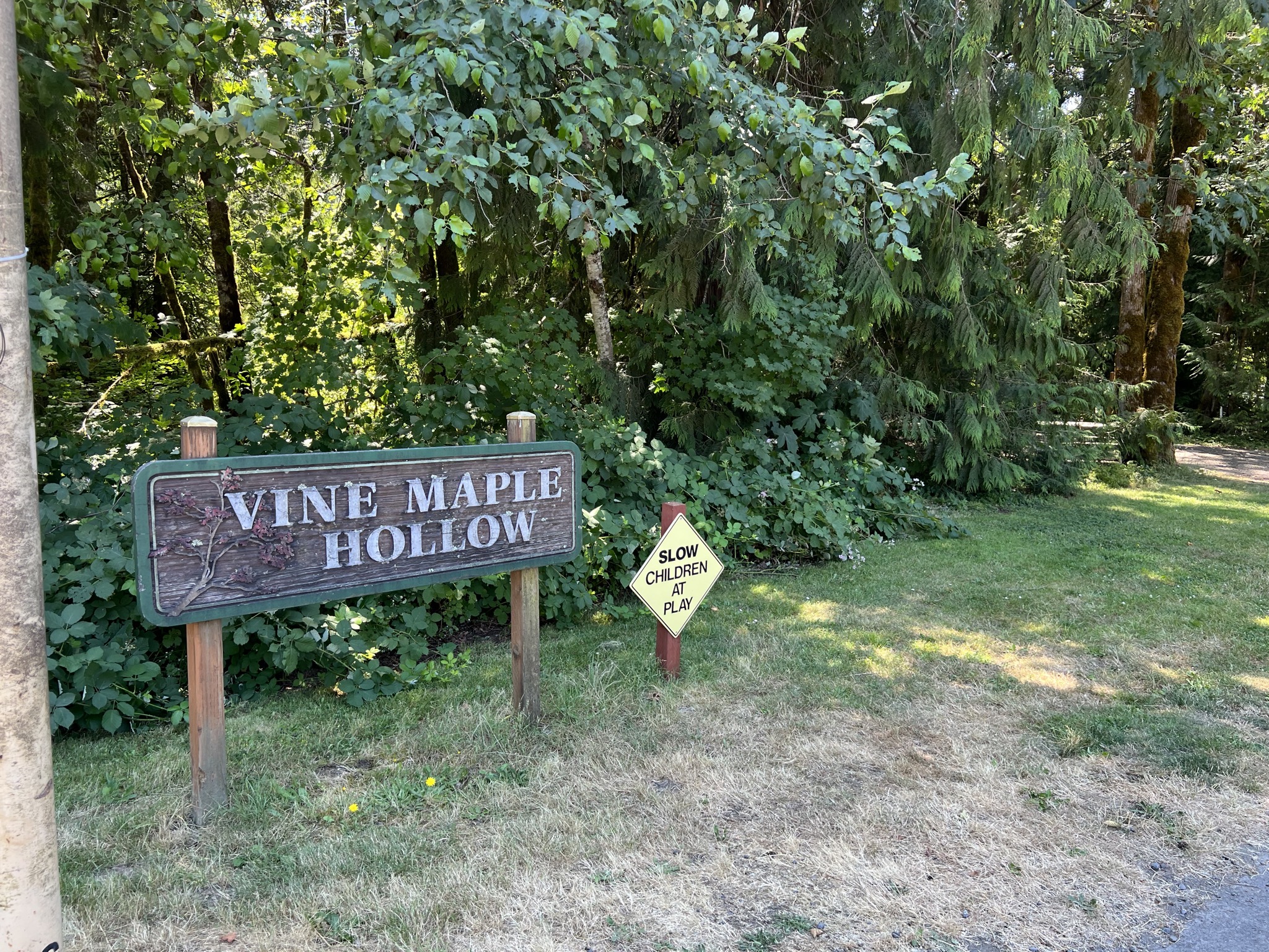 Vine Maple Hollow