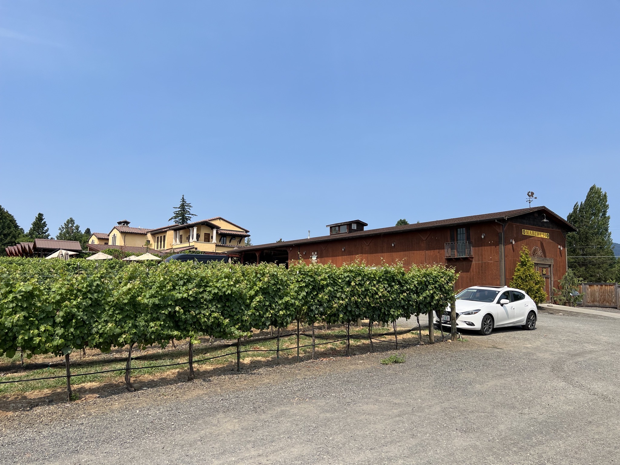 Marchesi Vineyards