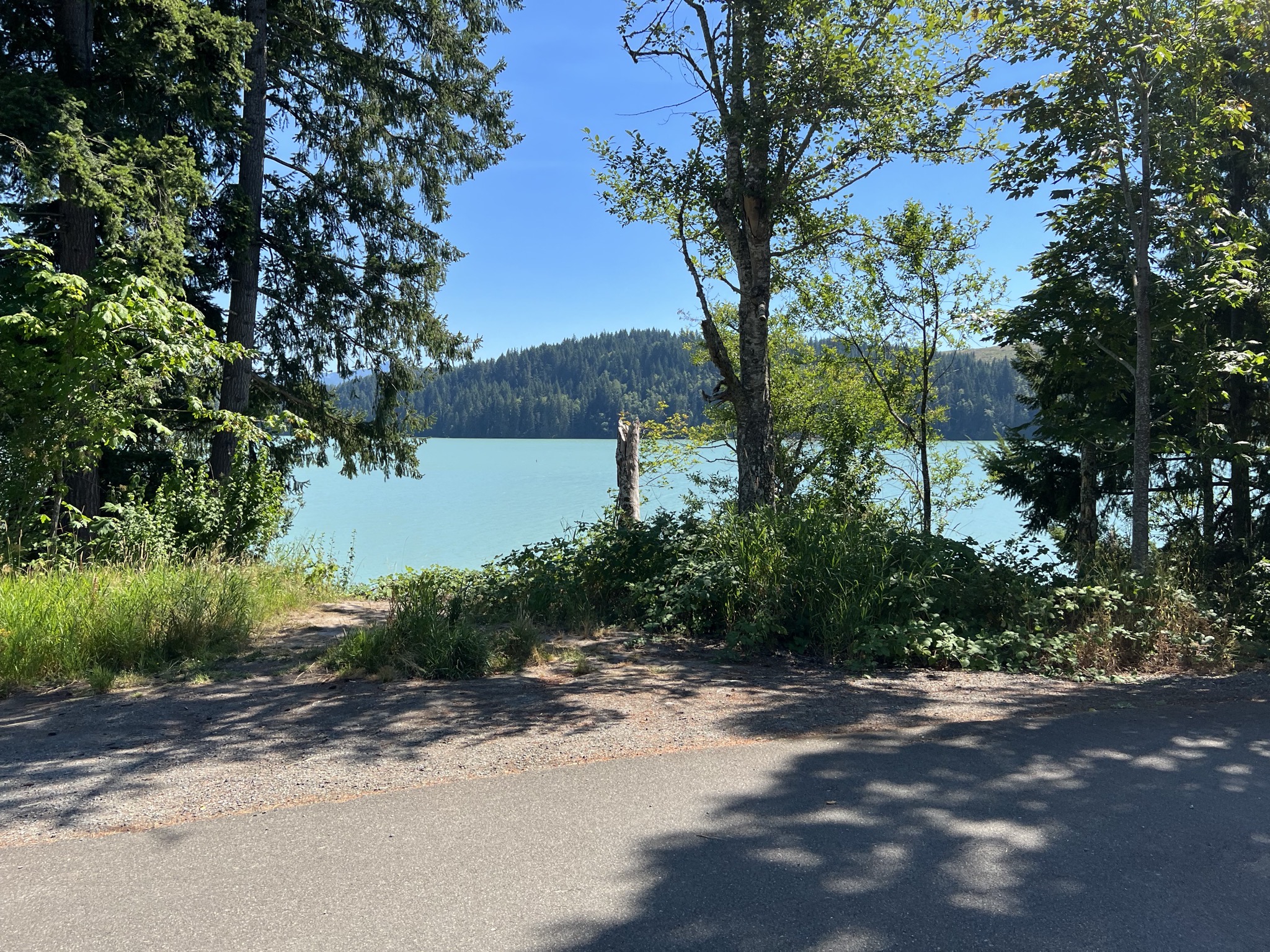 Lake view