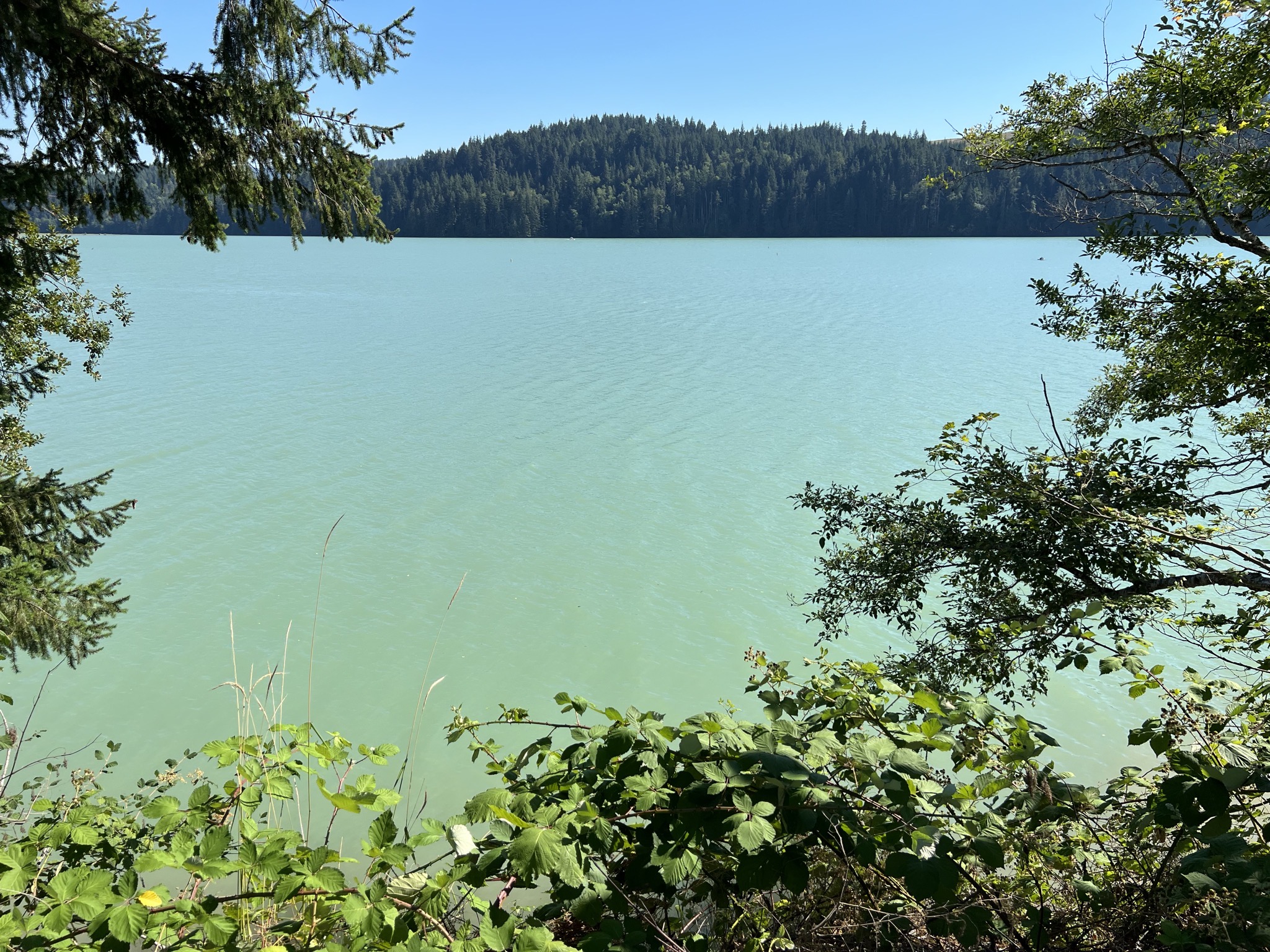 Lake view