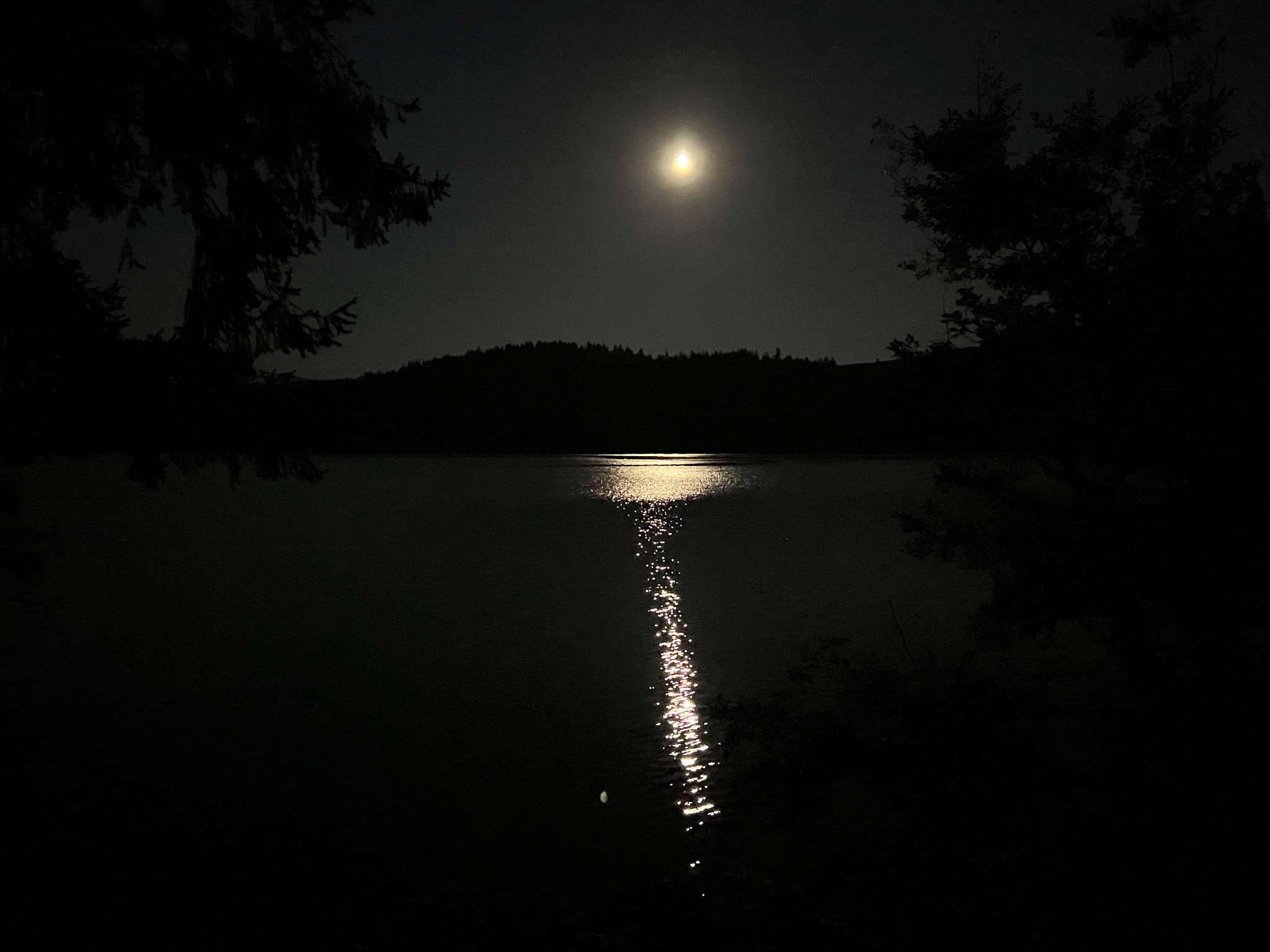 Moon and lake