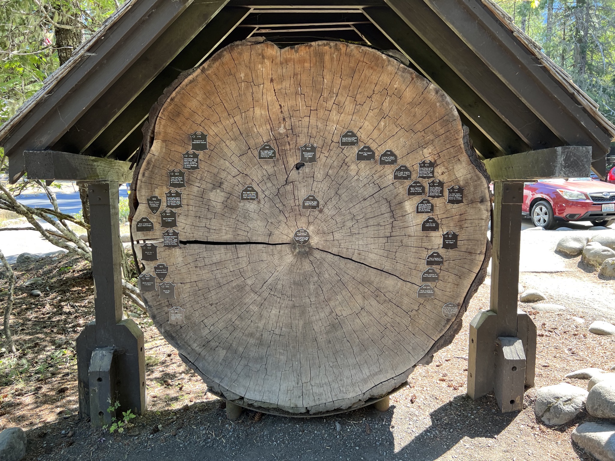 Log