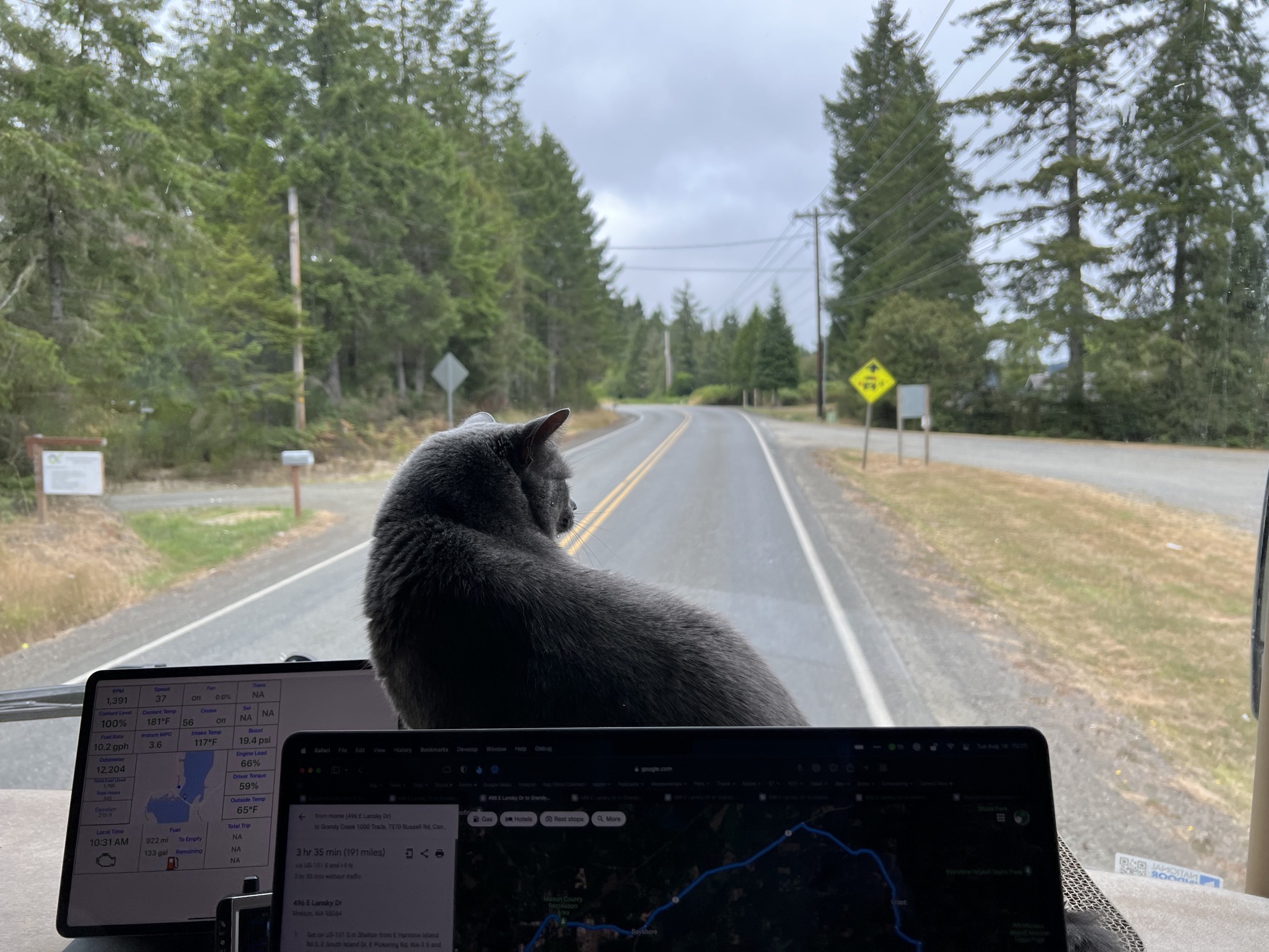 Paladin on the dash