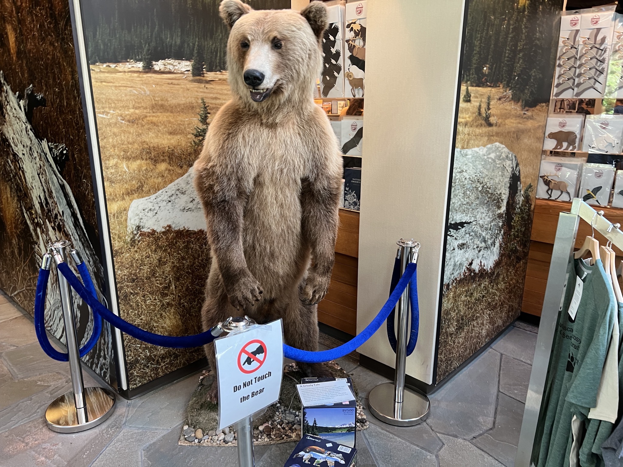 Do not touch the bear