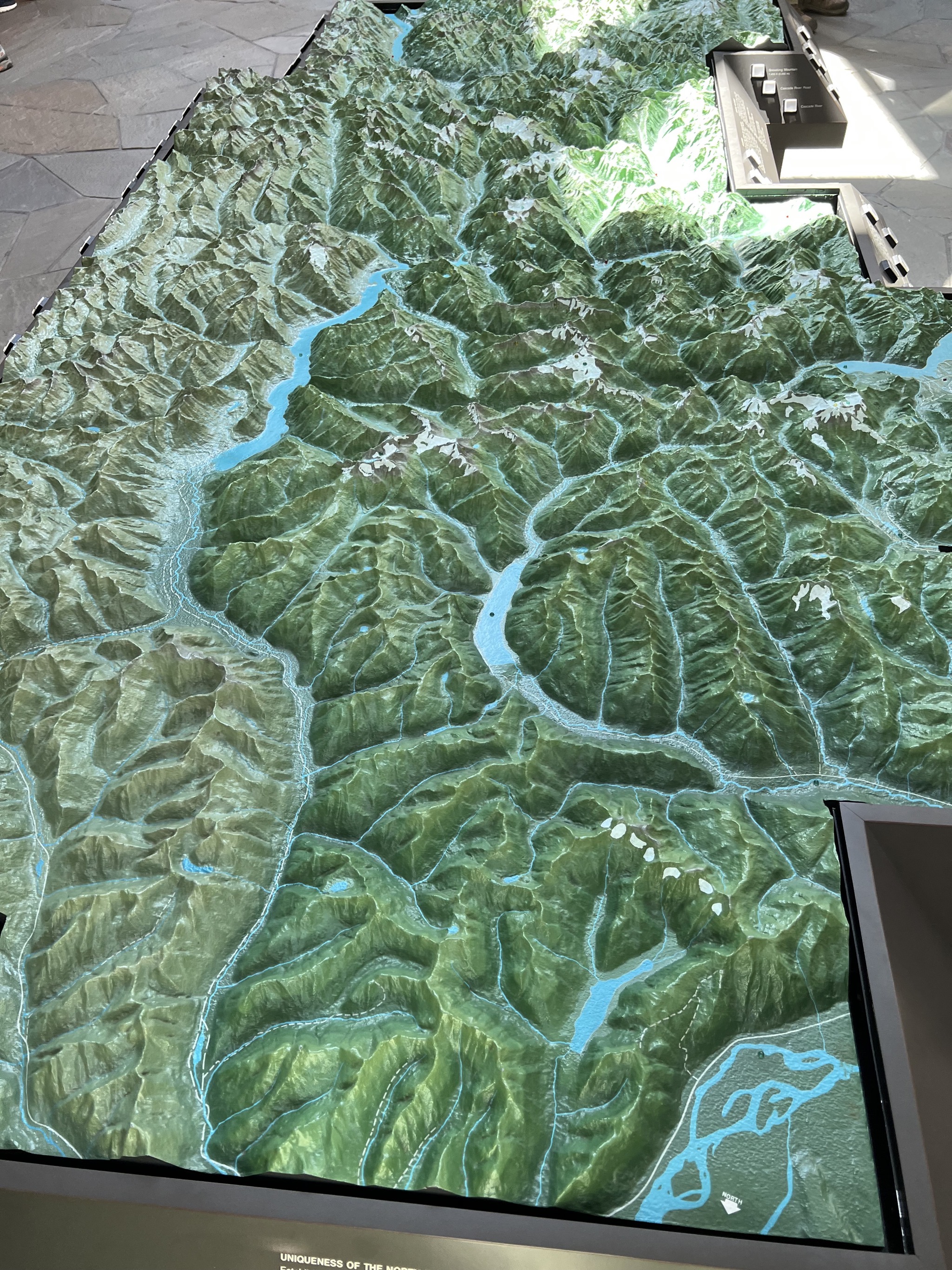 Relief map