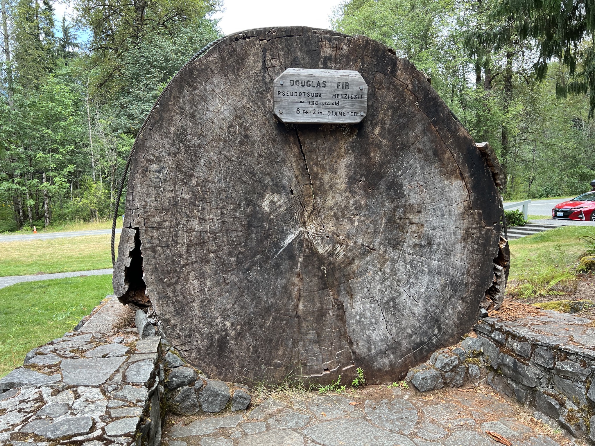 Log