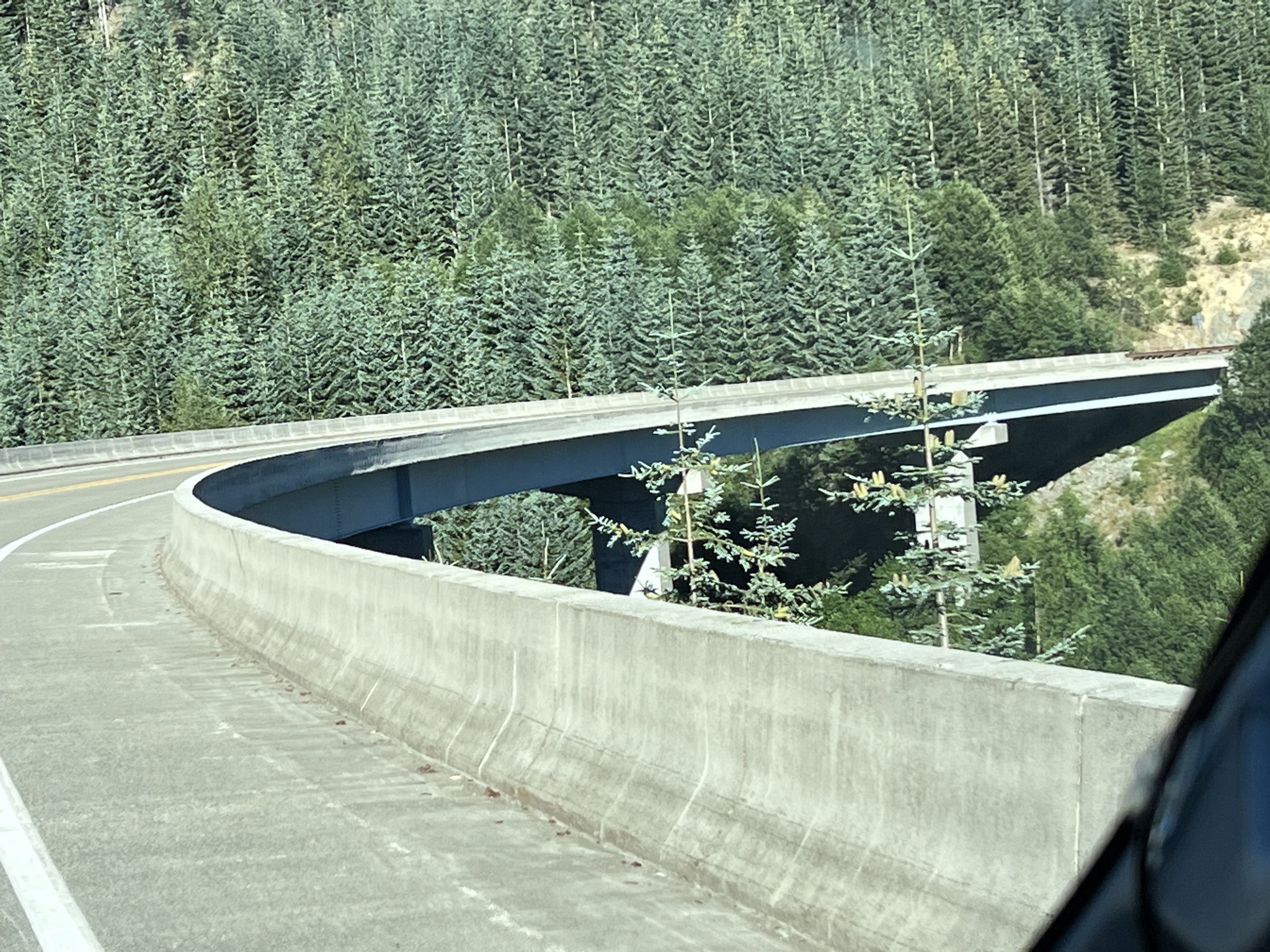 Bridge