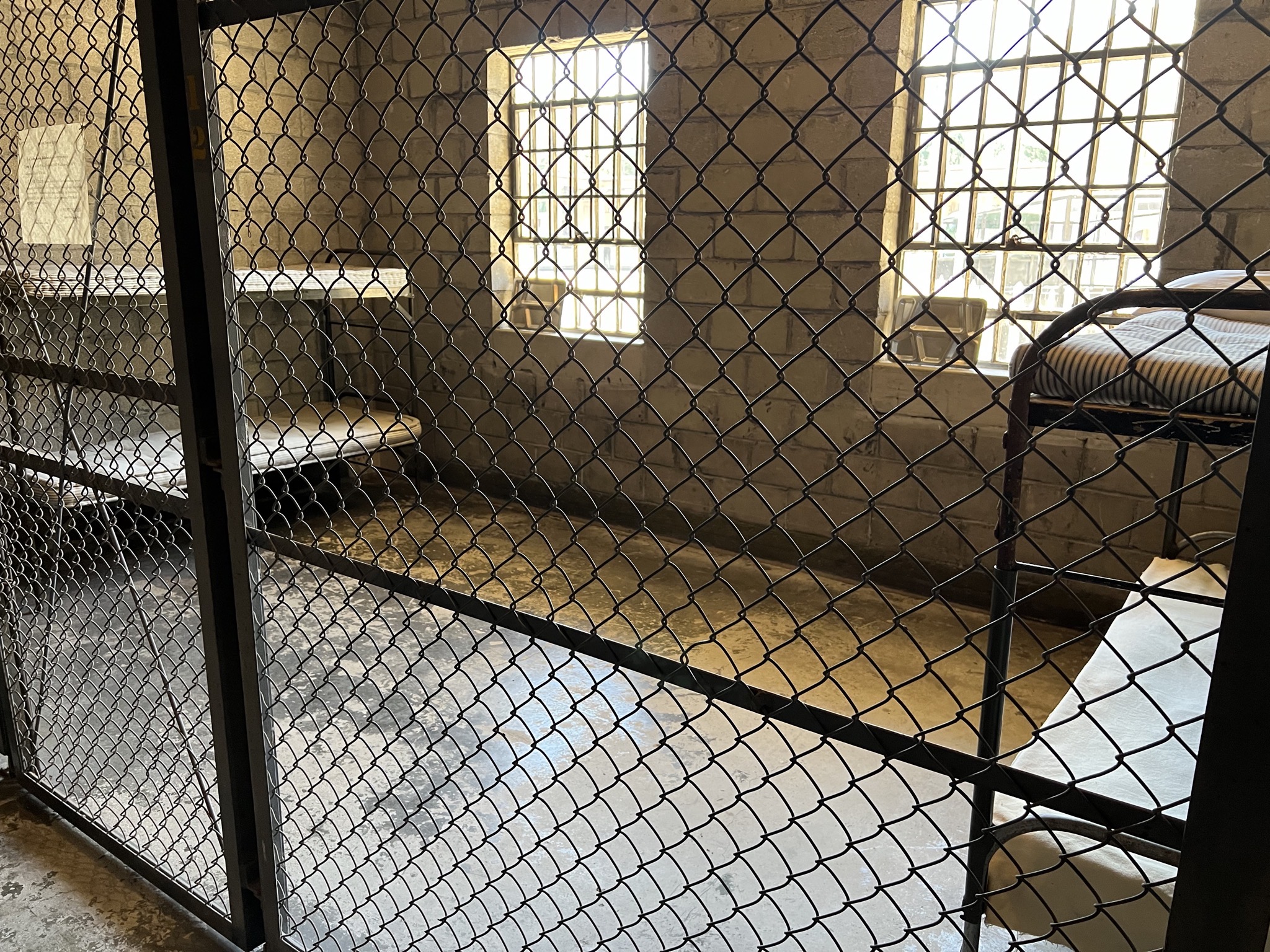 Cell