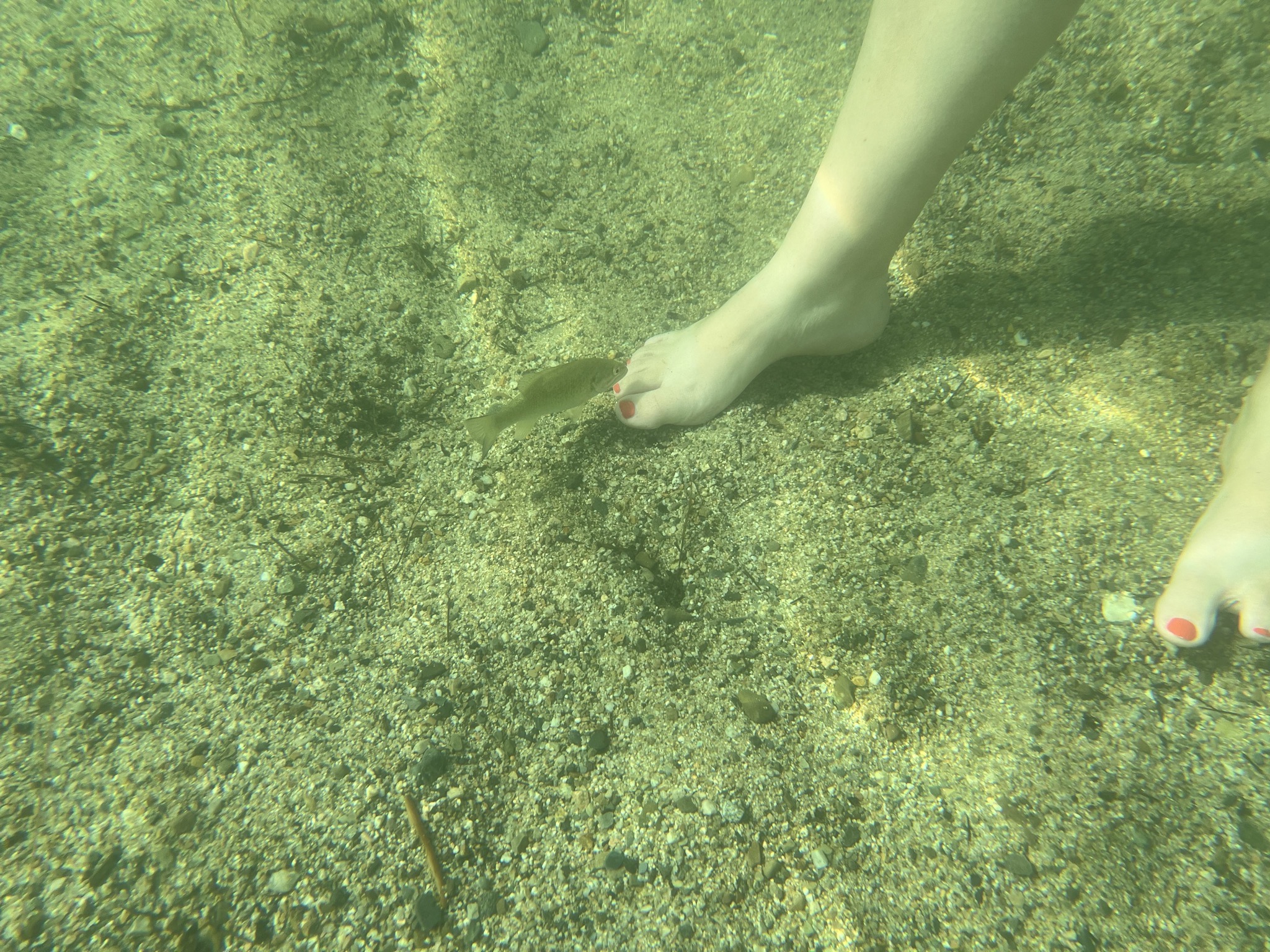 Fish and Jenn's toes