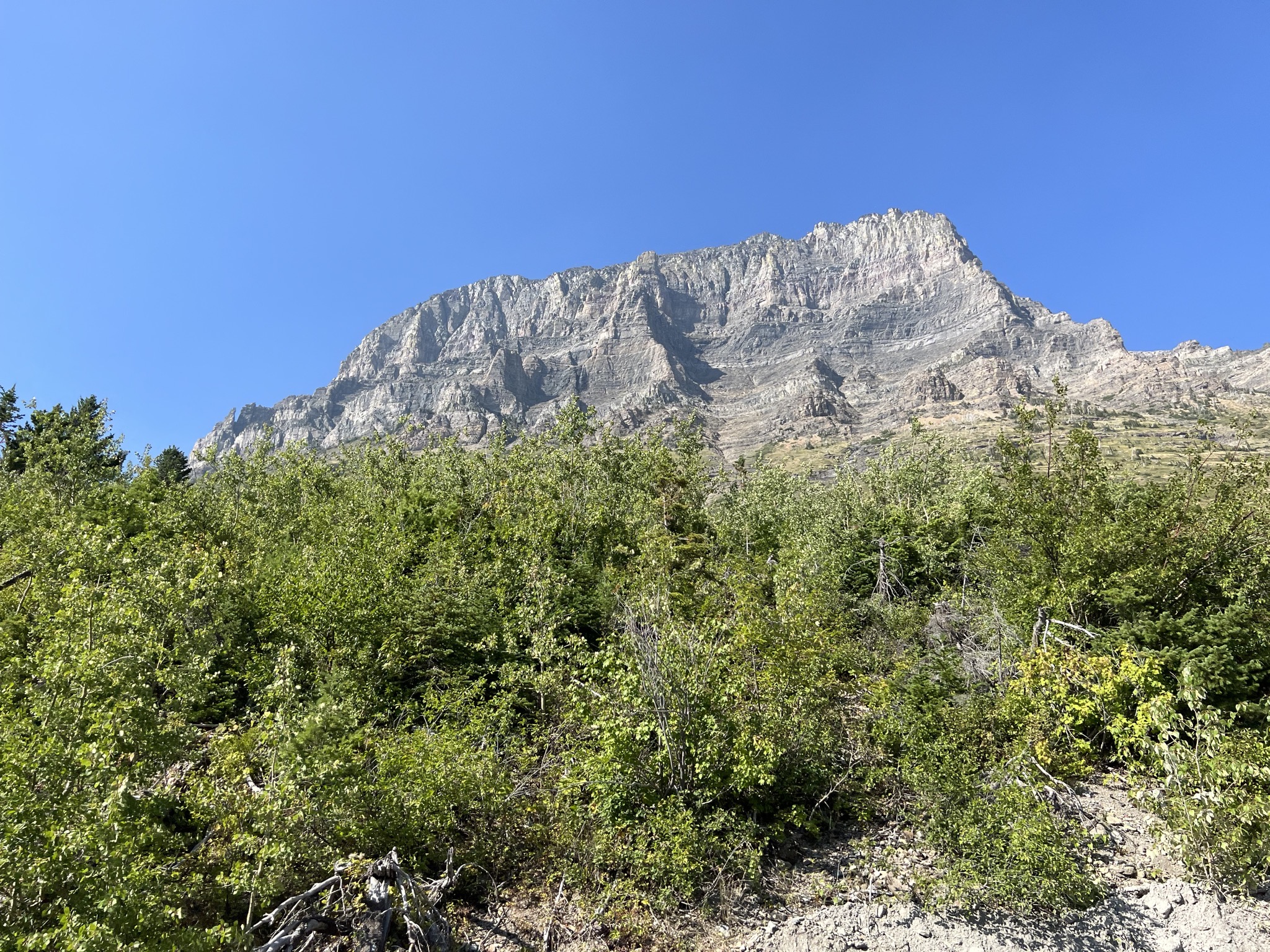 Going-to-the-Sun Road