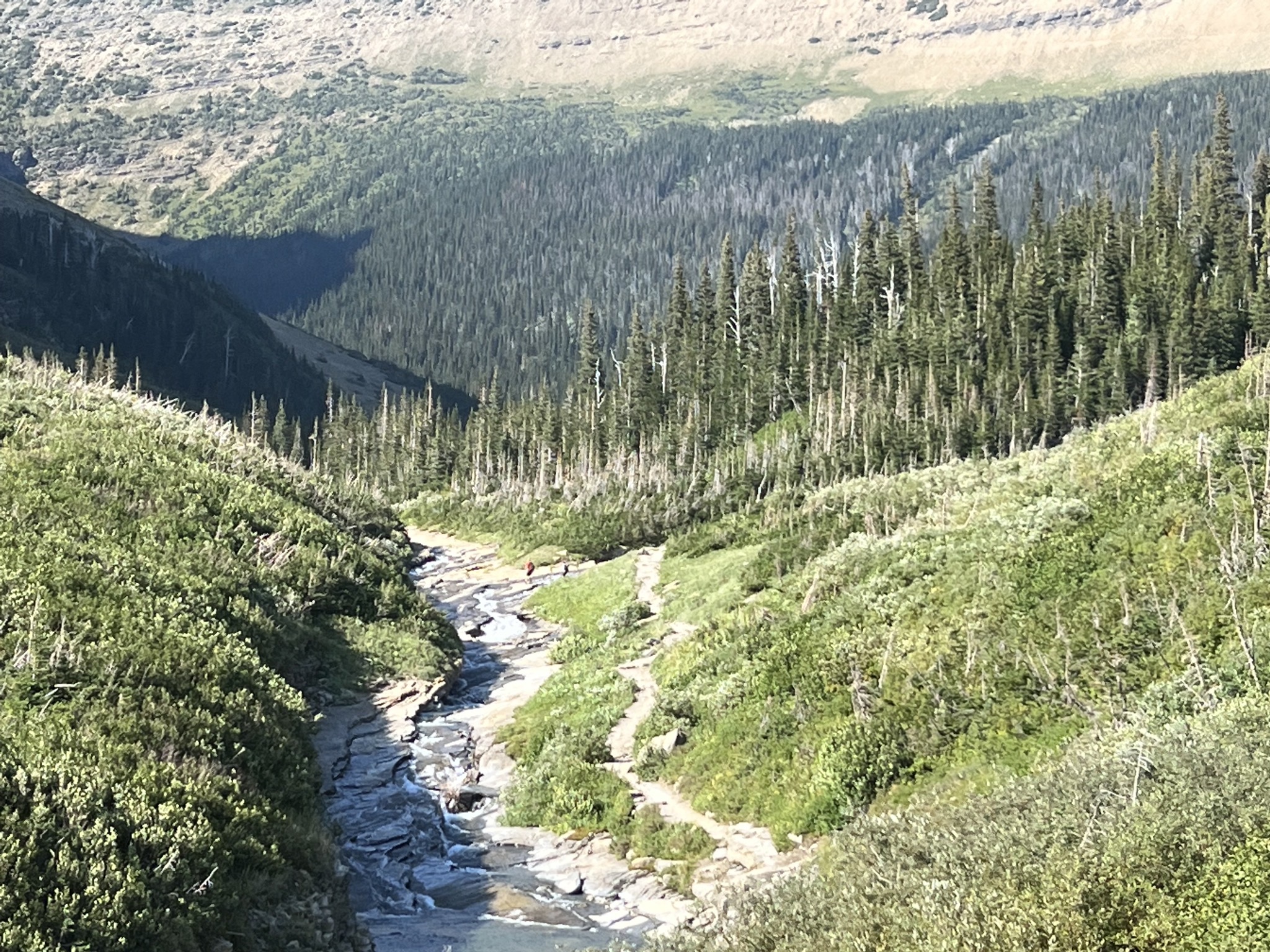 View from Going-to-the-Sun Road