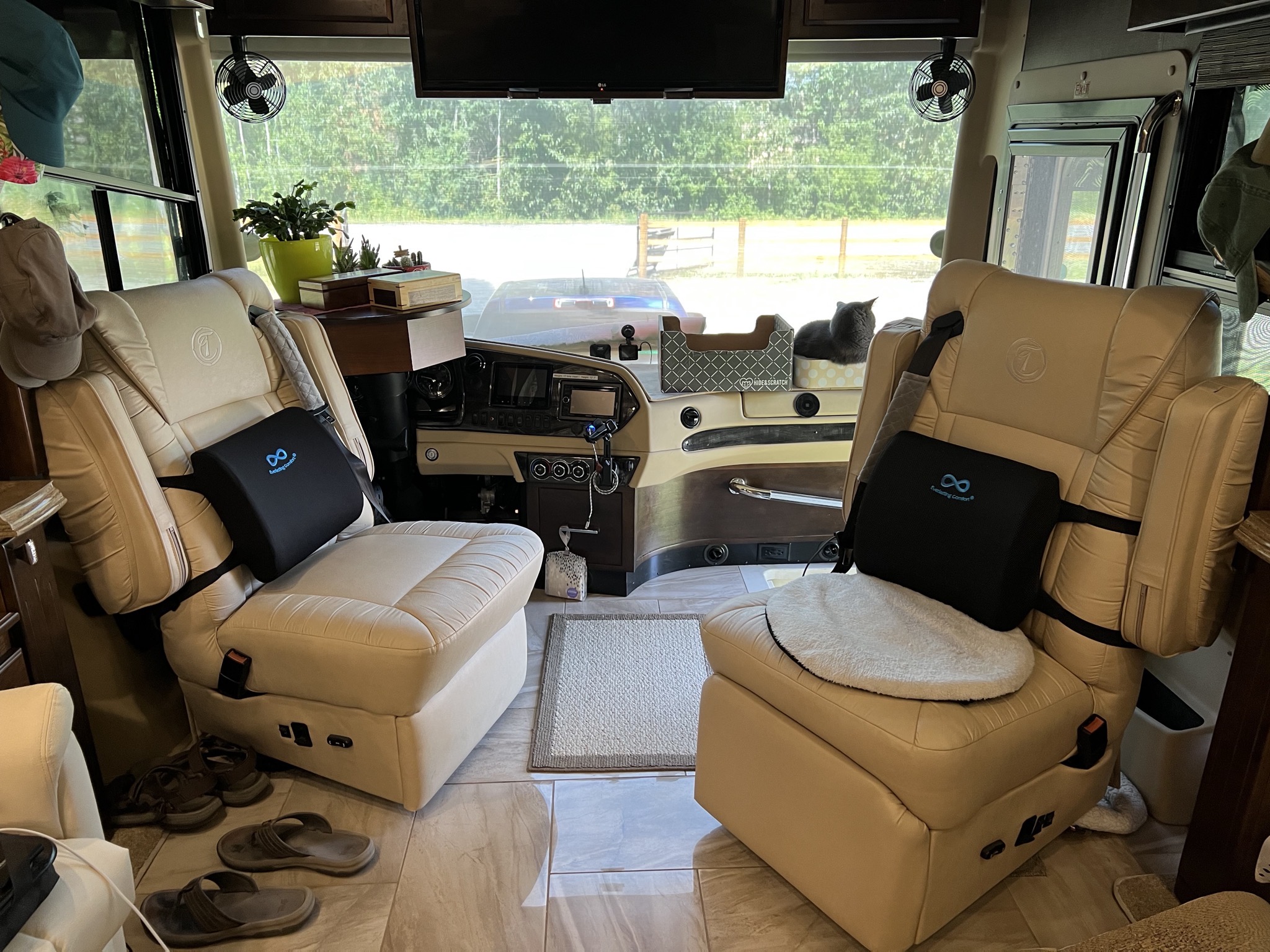 Cockpit