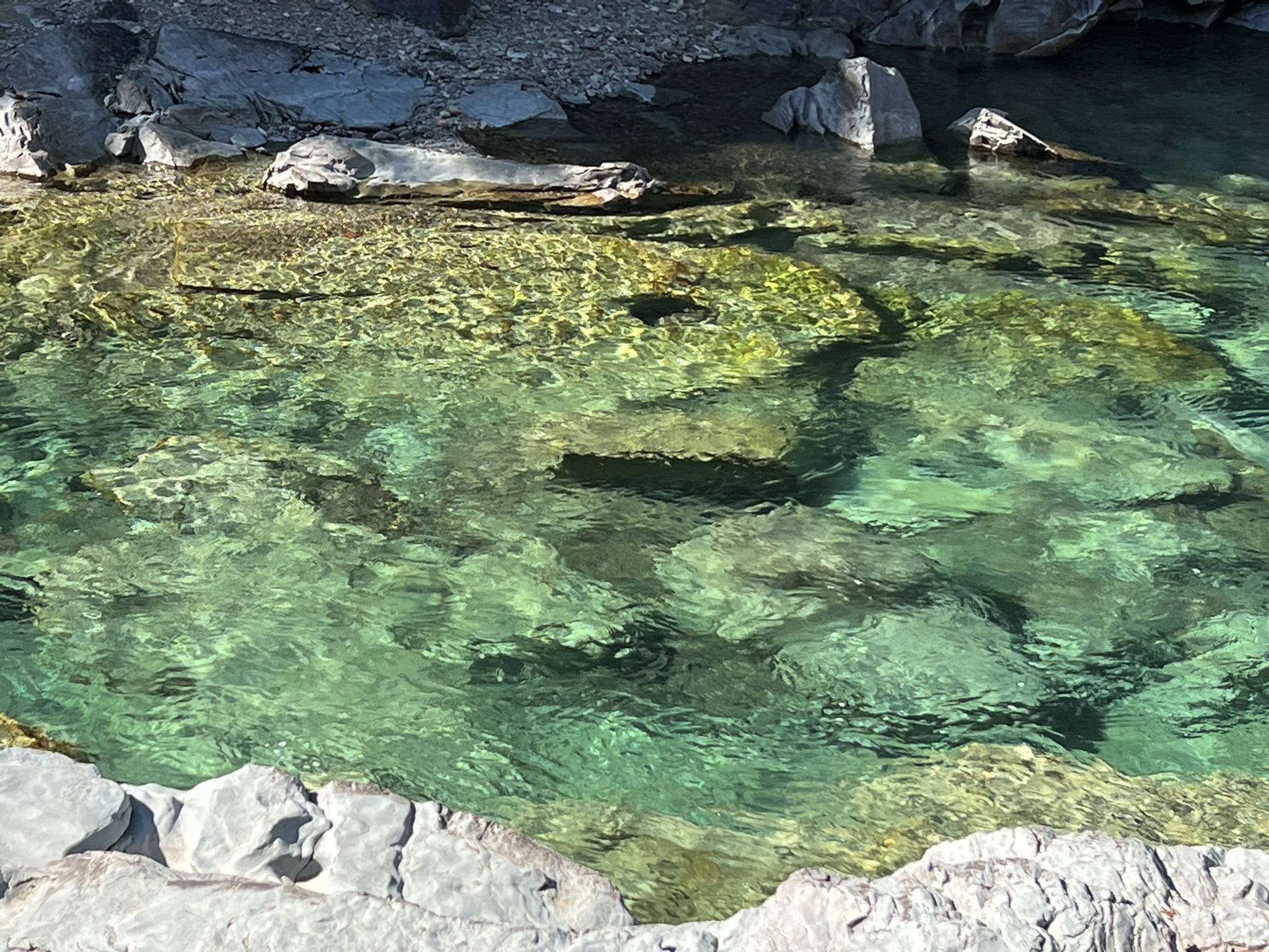 McDonald Creek