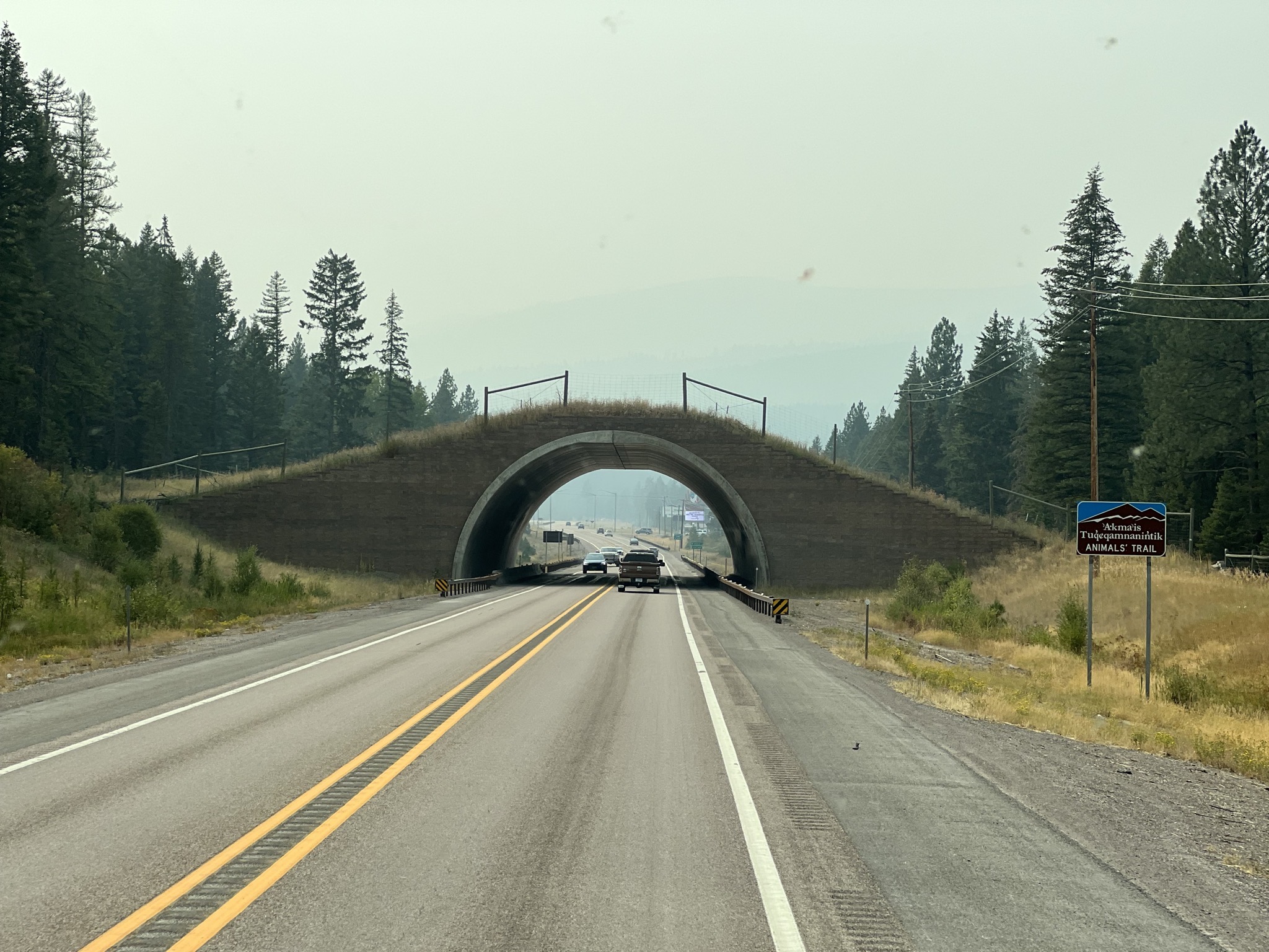 Flathead signs