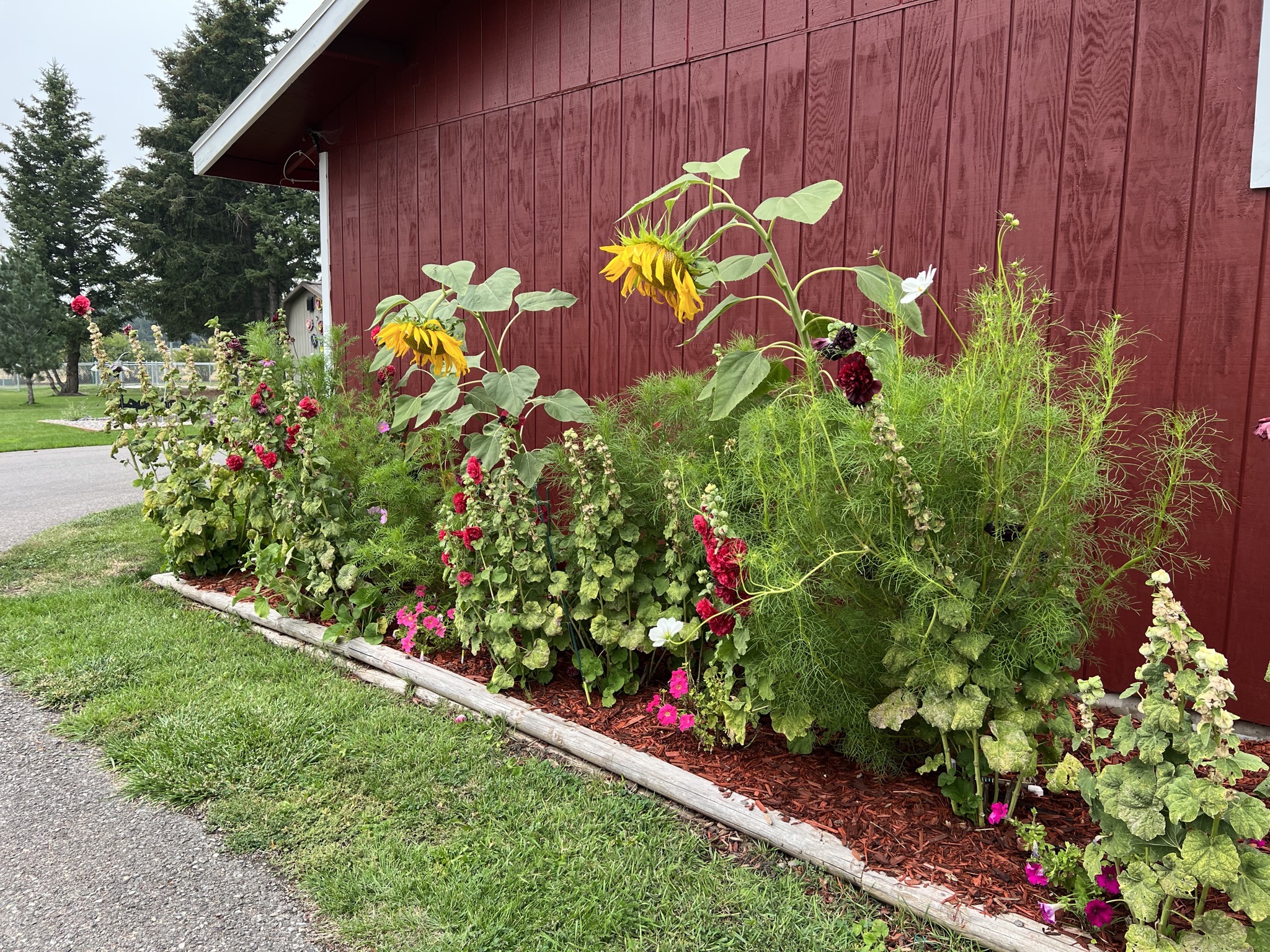 Landscaping