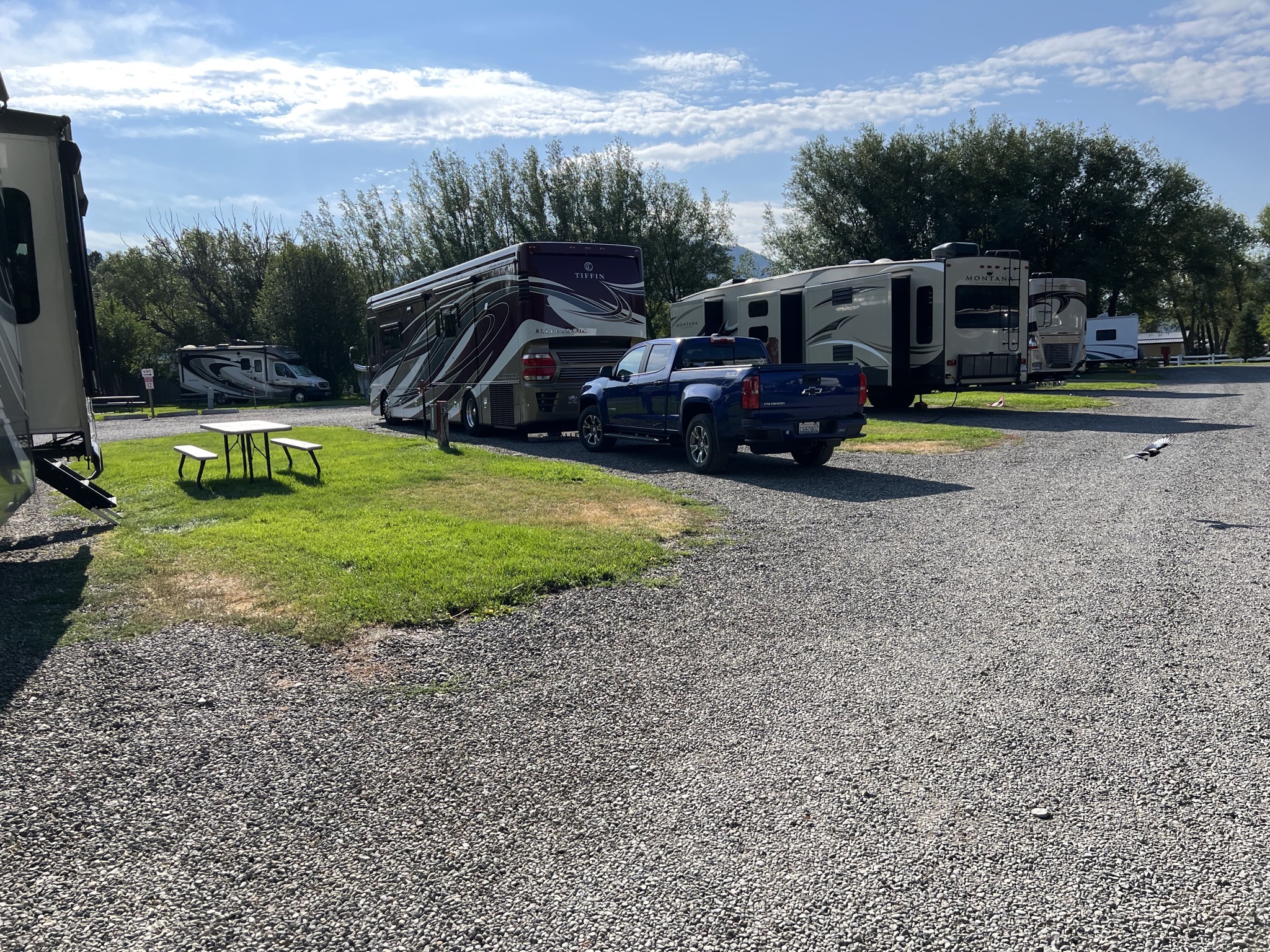 Our site
