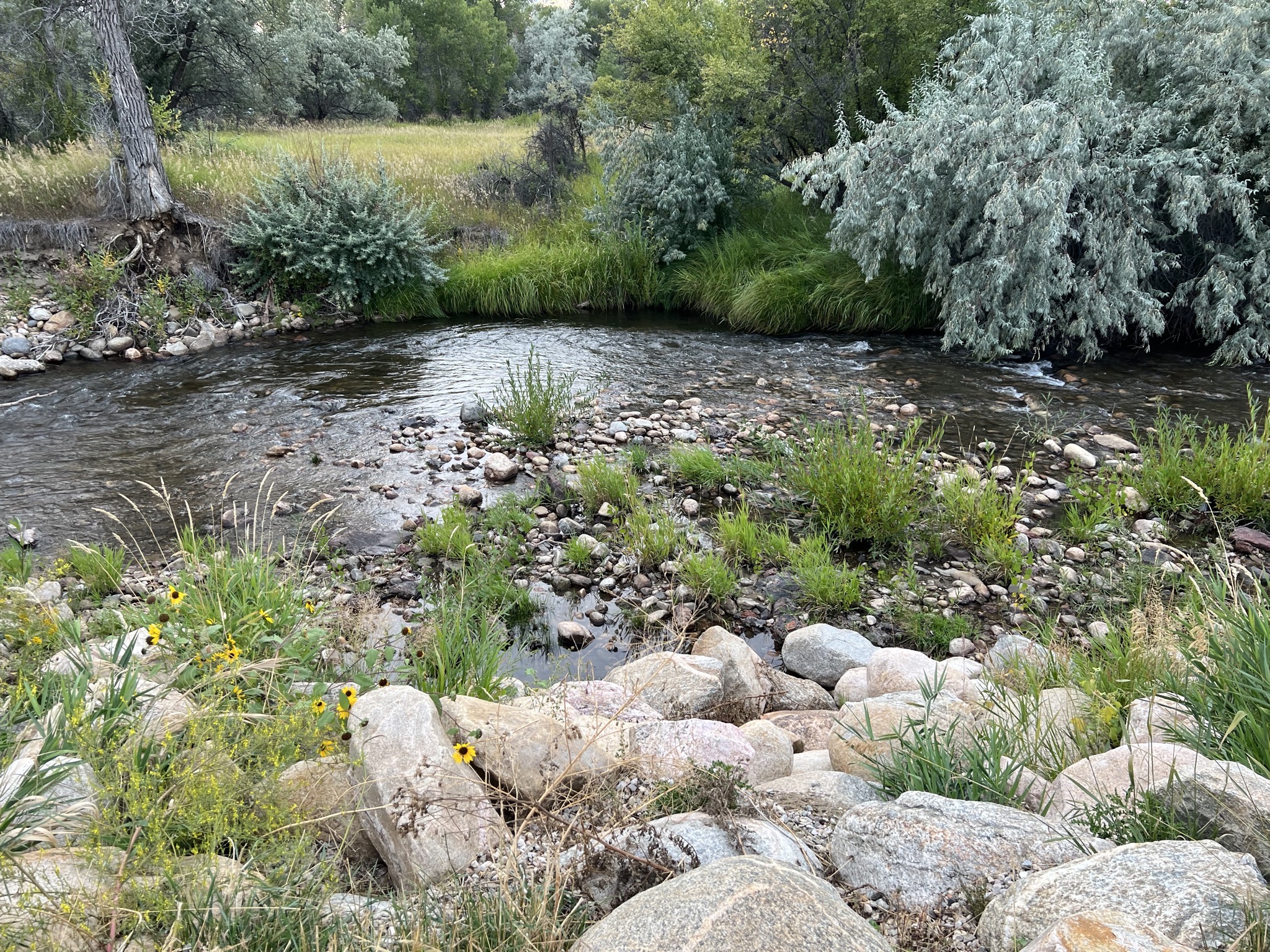 Creek