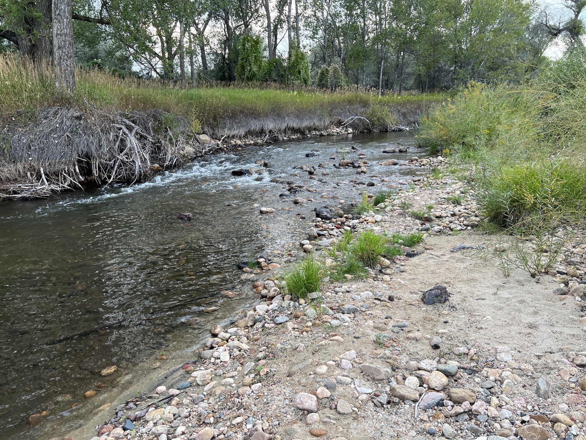 Creek