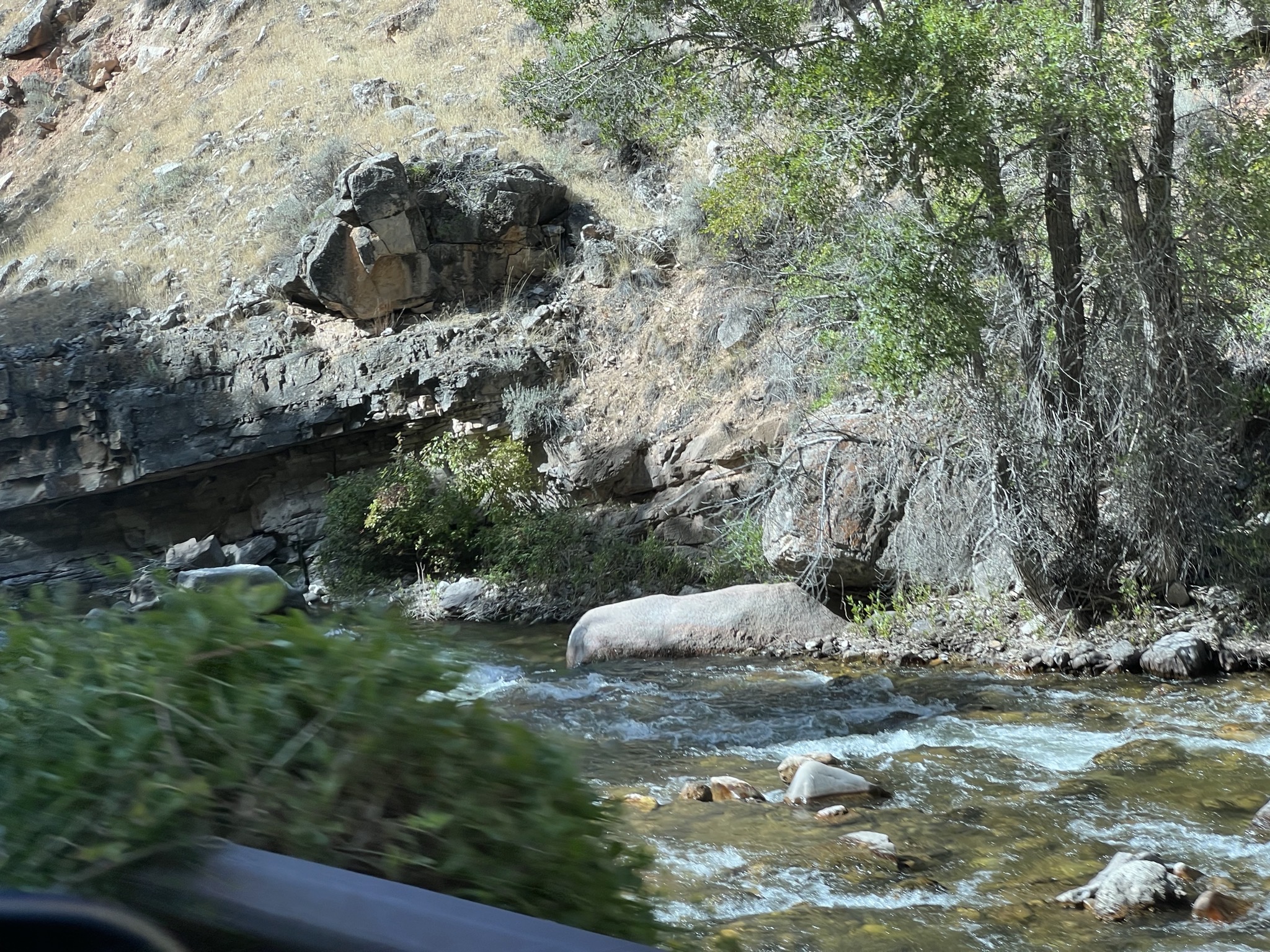 Creek
