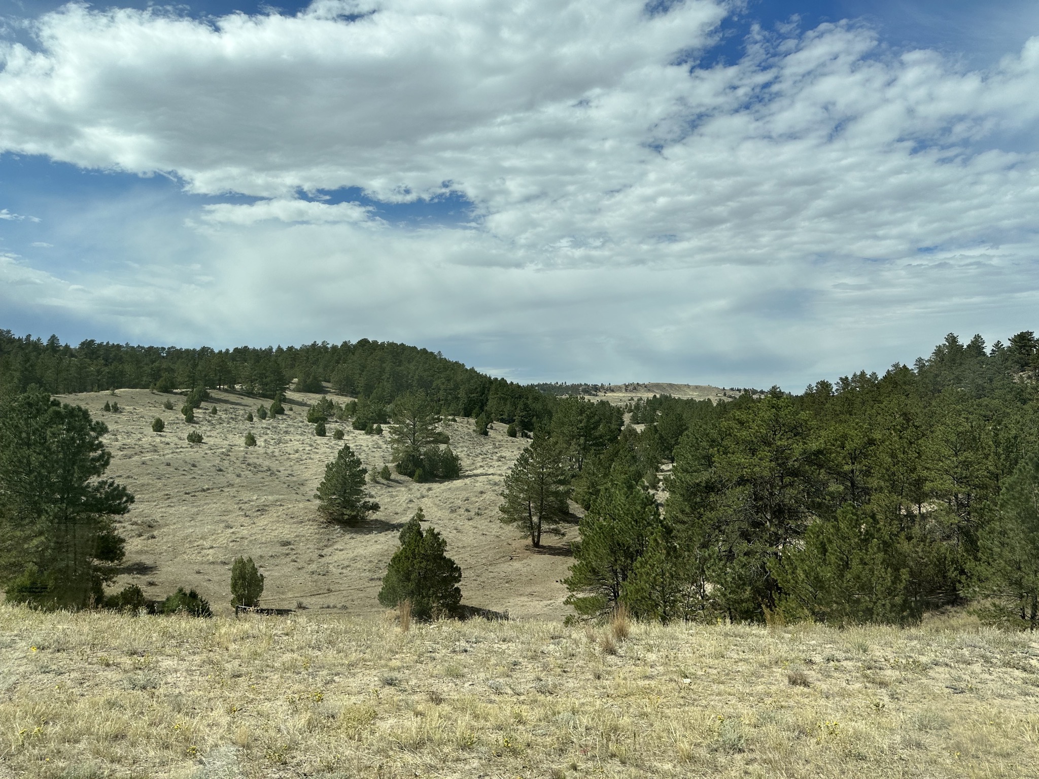 Nice hills