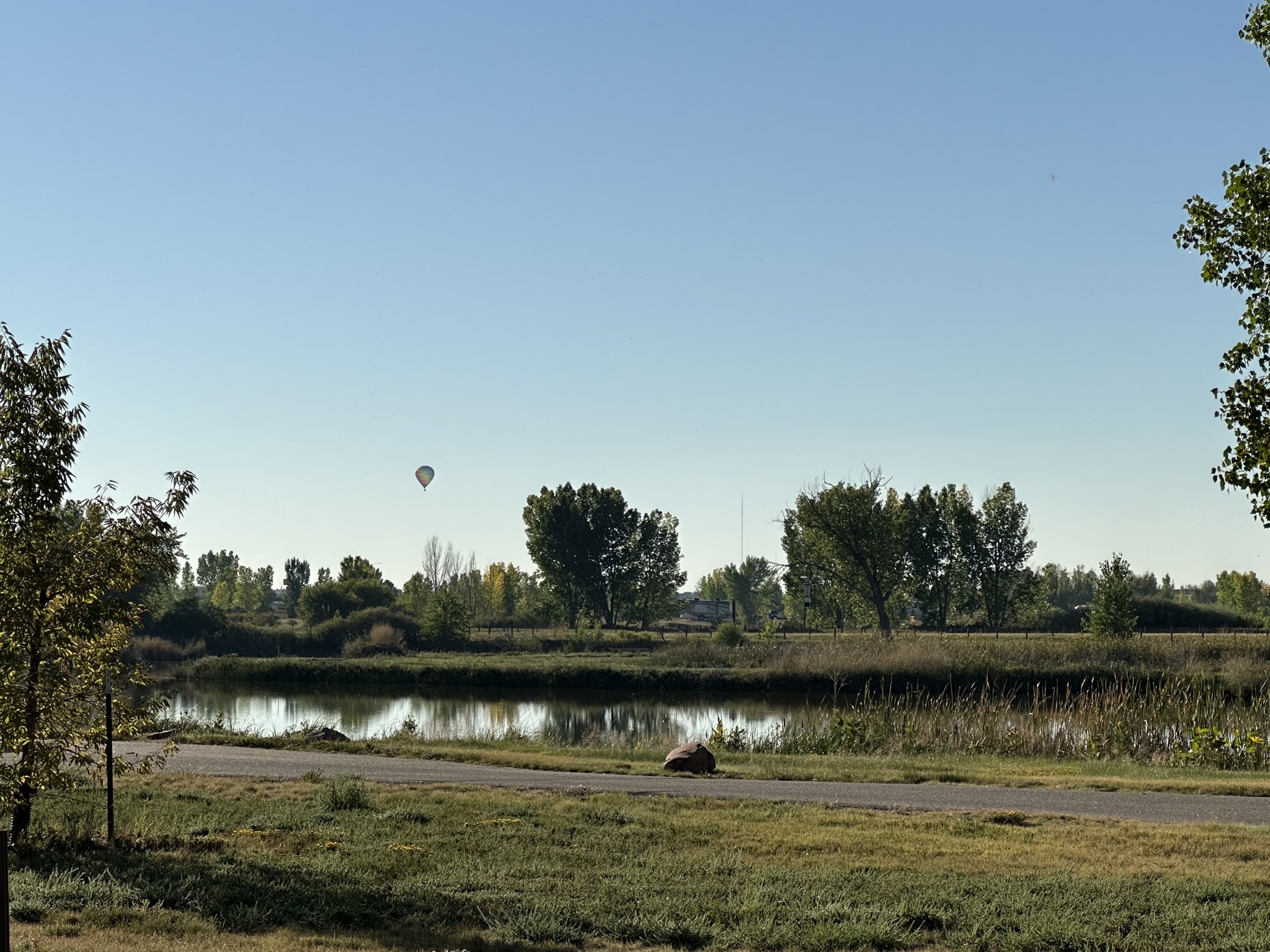 Balloon