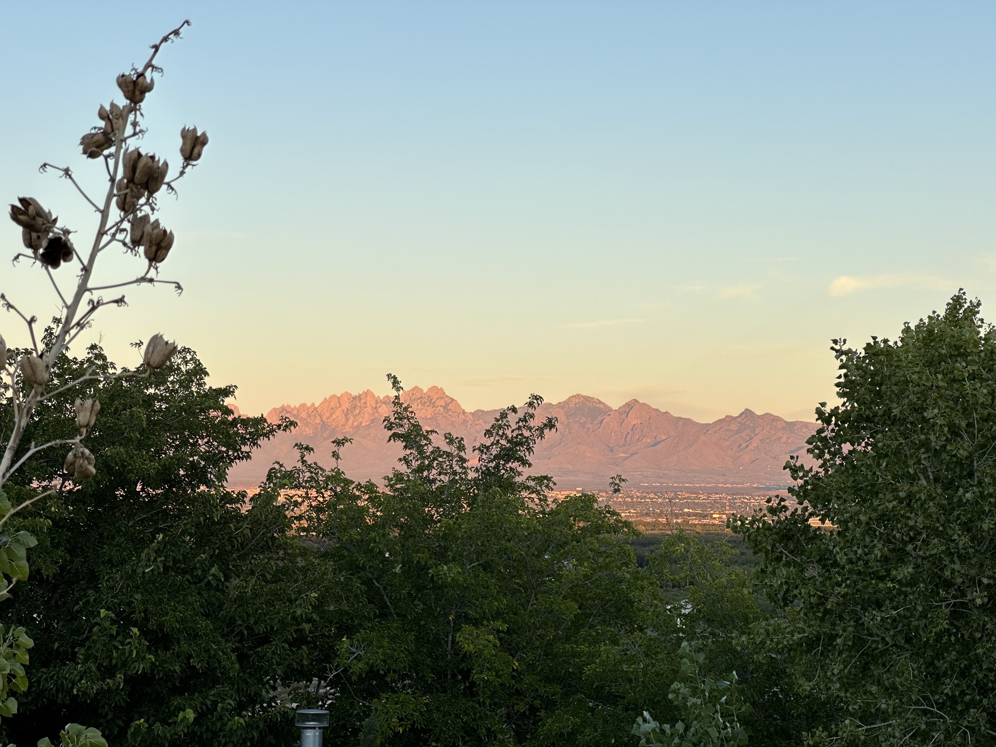 View from our site