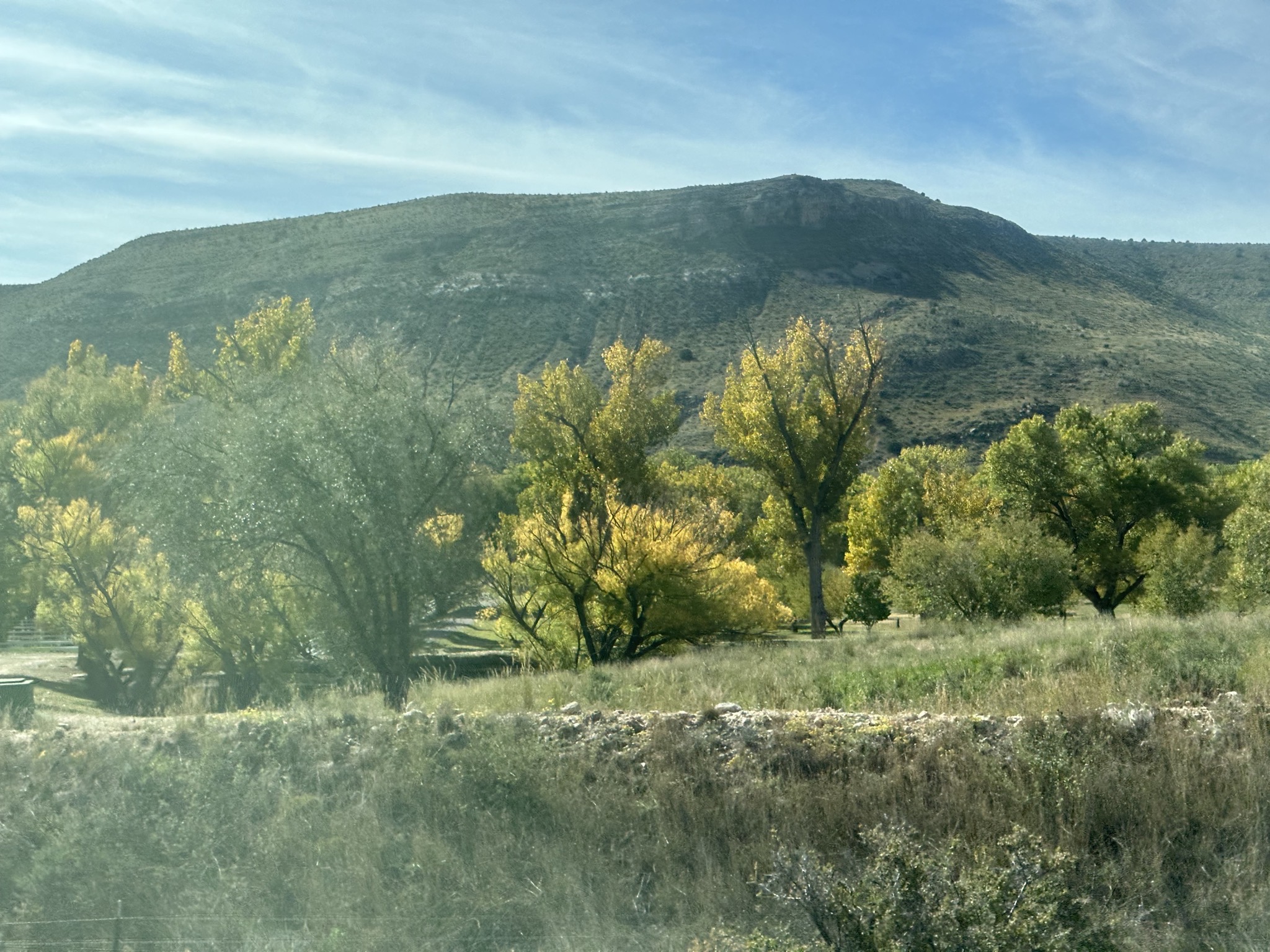 Hills and trees